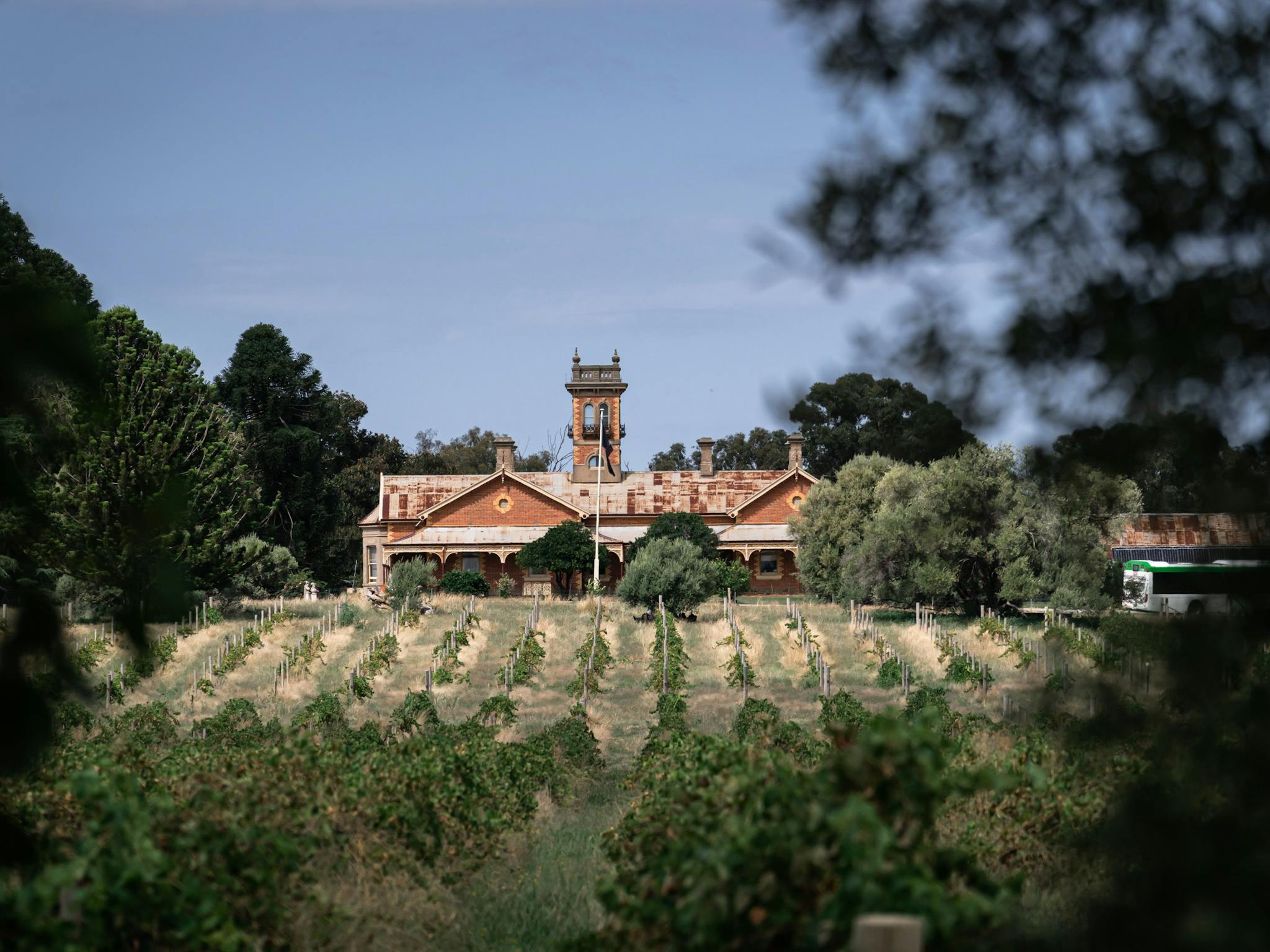 Olive Hills