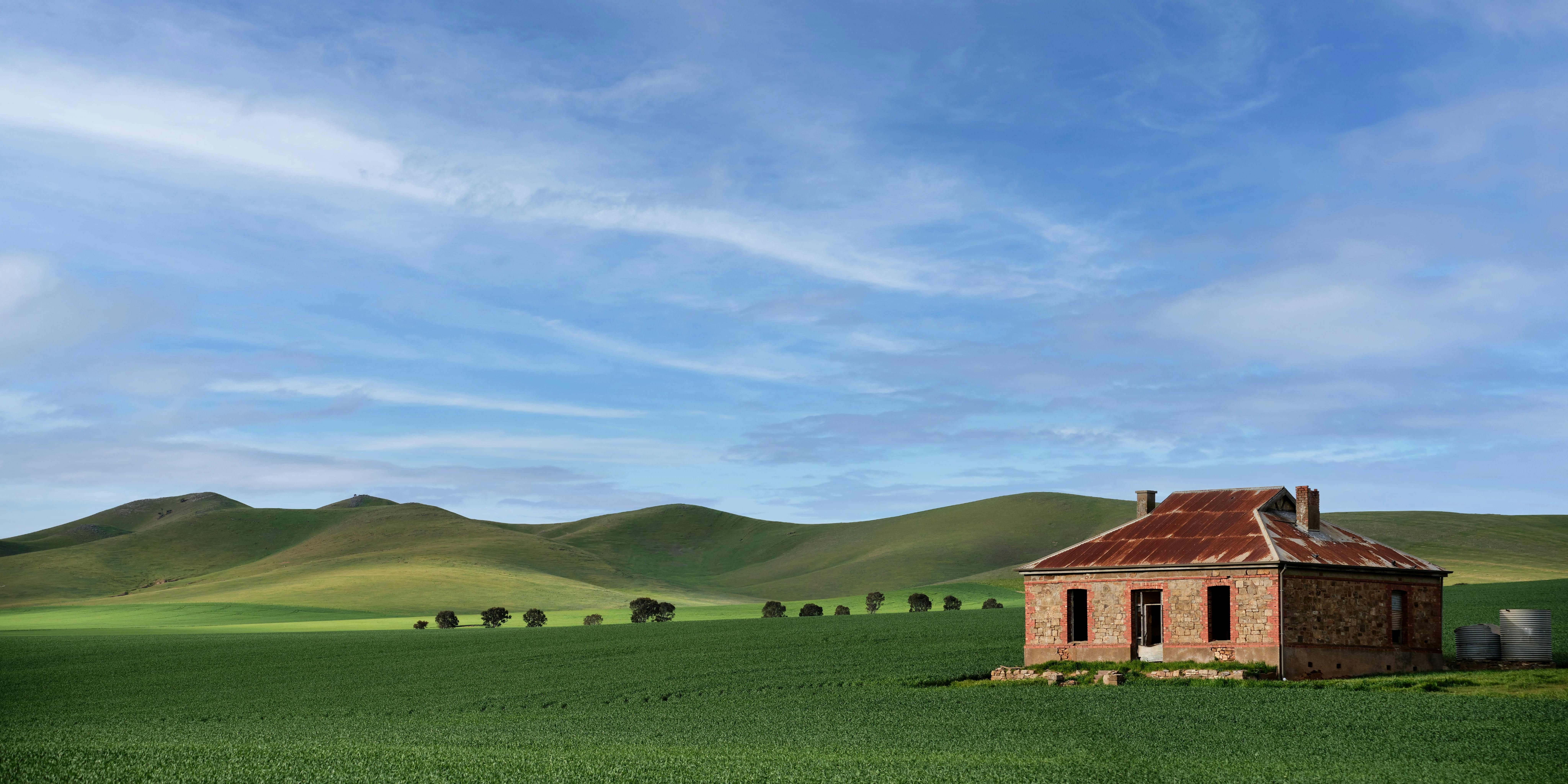 Green wheat fields in Burra, Clare Valley