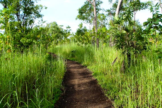 ボワリトラック