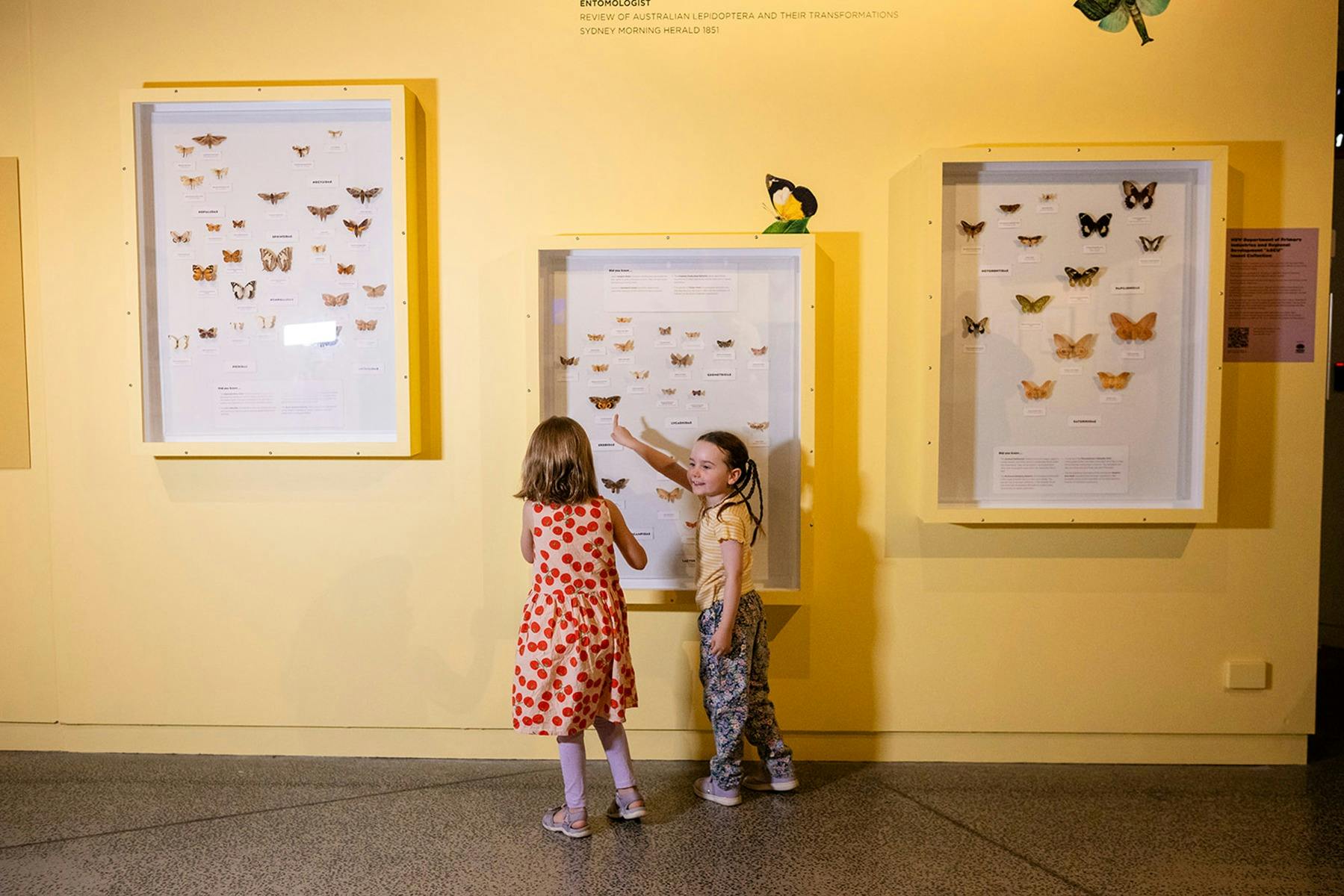 Children explore an exhibition at Orange Regional Museum