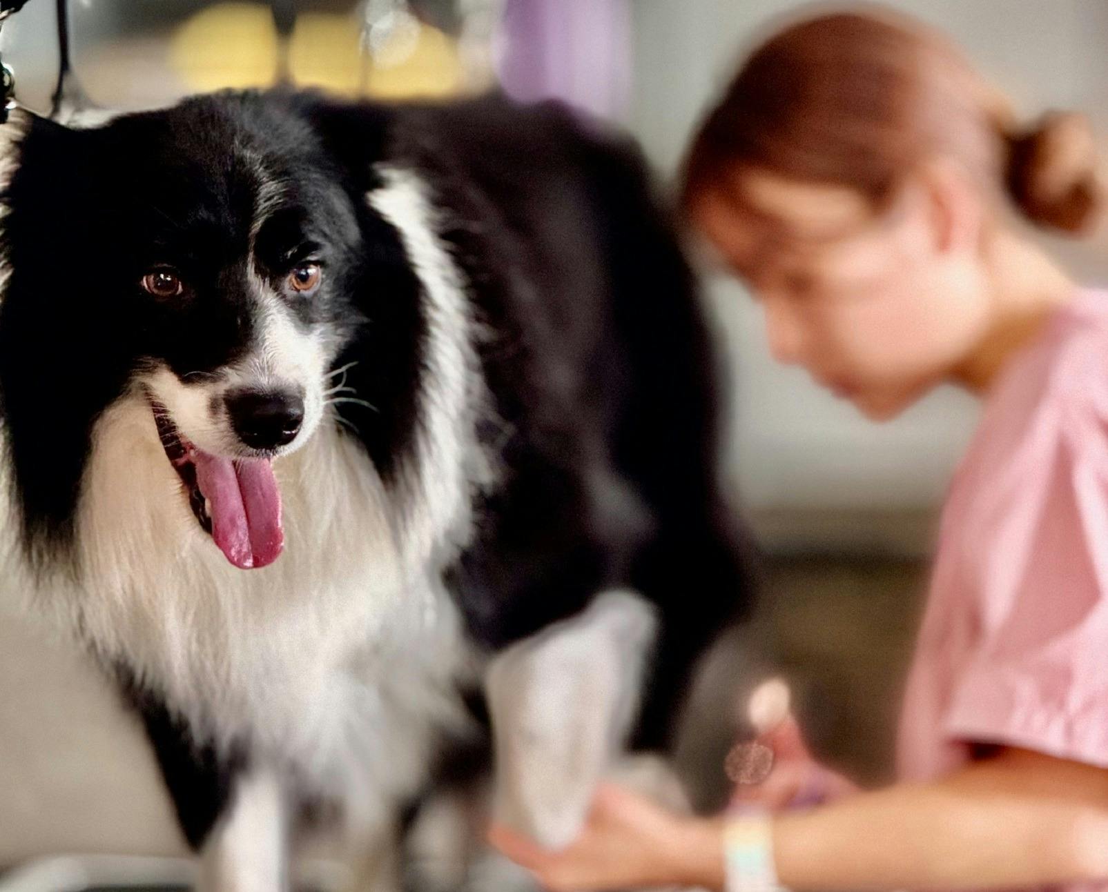 BabaG 咖啡厅和美容沙龙