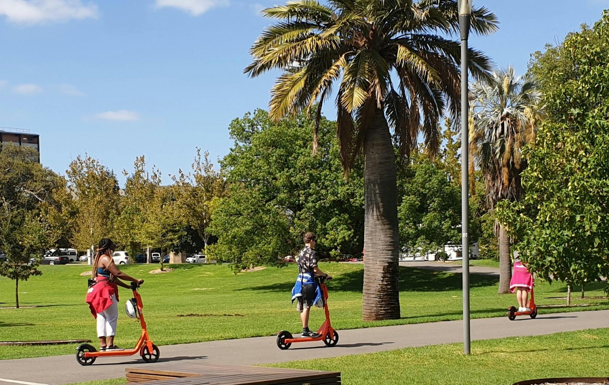 Guided Walk through Tarntanya Wama (Park 26)