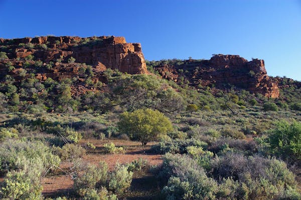 Whyalla Conservation Park