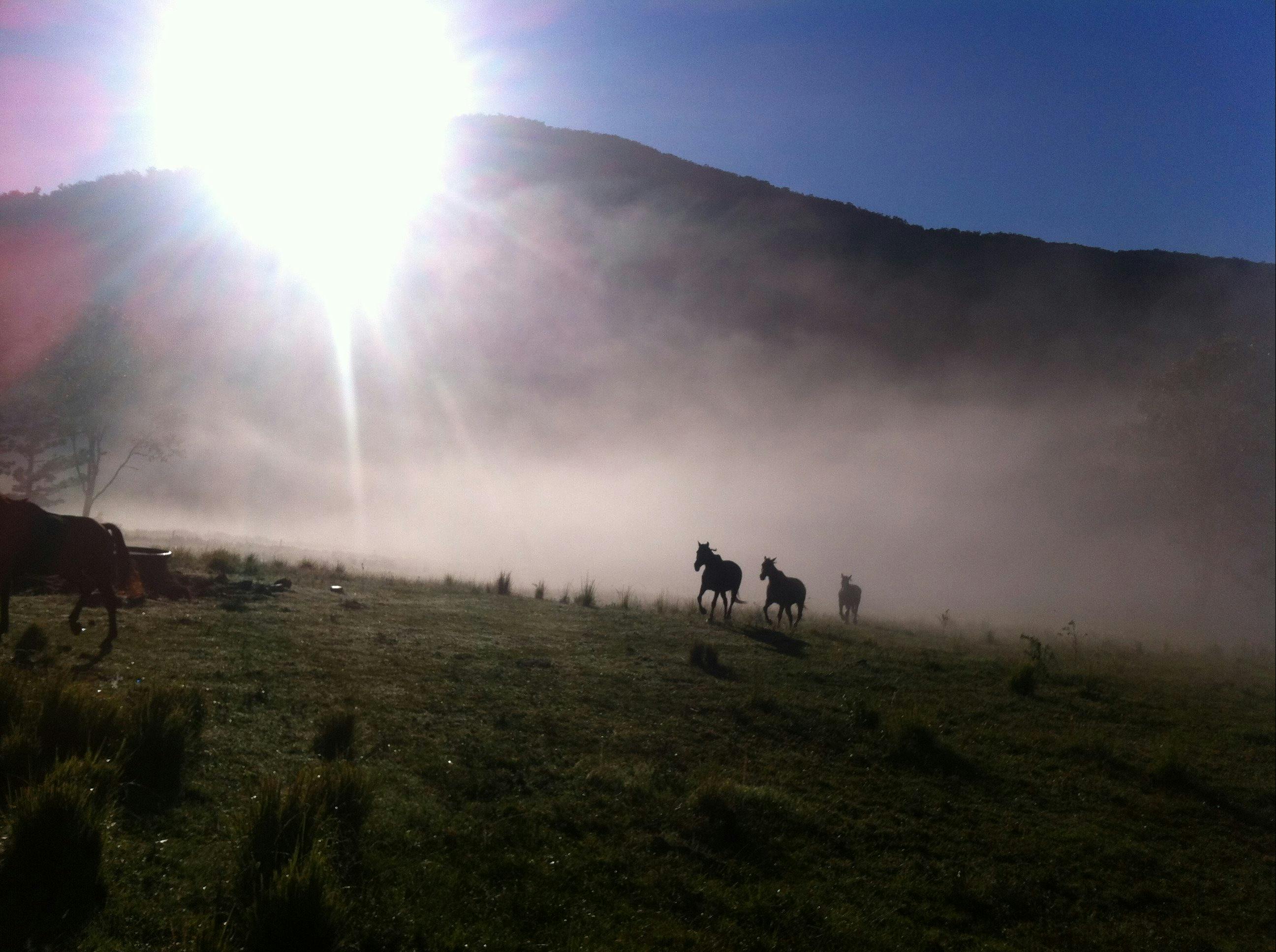 Numinbah Valley Adventure  Camping