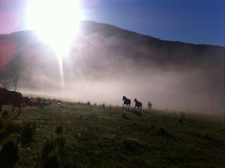 Numinbah Valley Adventure  Camping