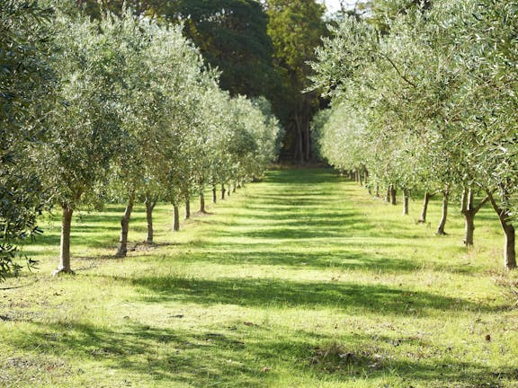 Tom Cullity Drive, Margaret River Gourmet Food and Wine Trail