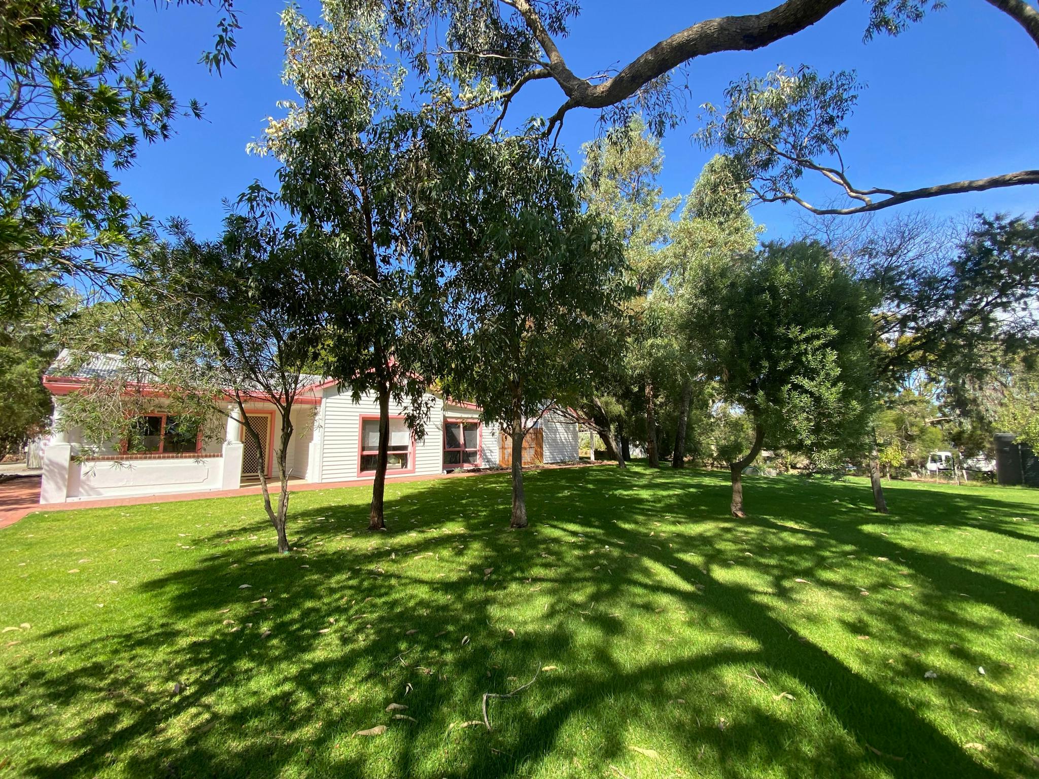 Shaded Lawn area at the Cellar Door