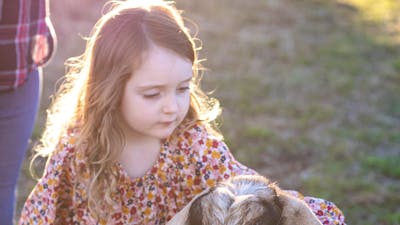 Patting goat on a farm tour