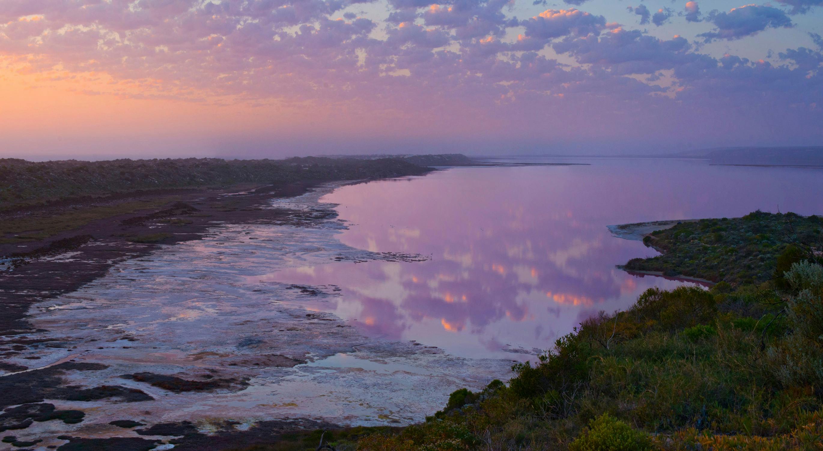 Pink Lake Tours, Gregory, Western Australia