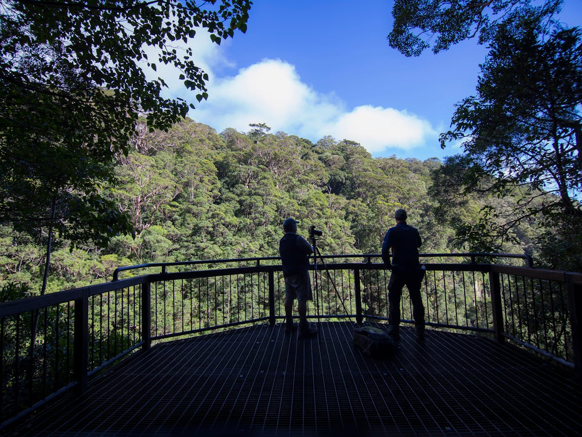 Peopel silhouetted against a lookout handrail with forest ridge in background. Peopel silhouetted against a lookout handrail with forest ridge in background.