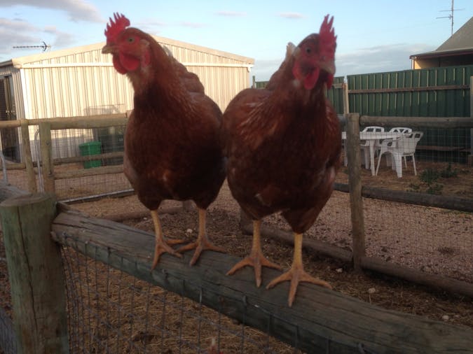 Tarnasey Farm Pas Place