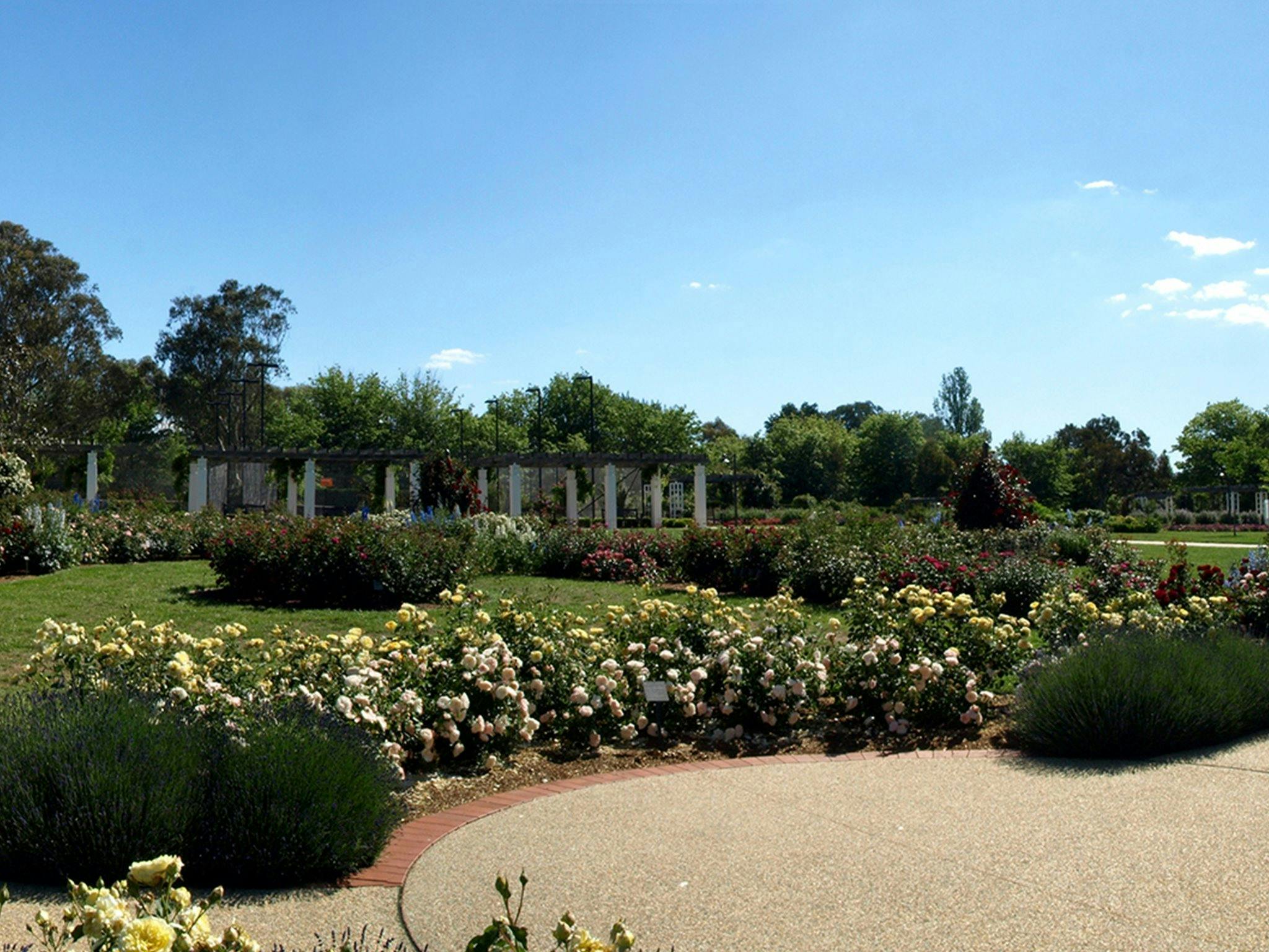 Broinowski Garden