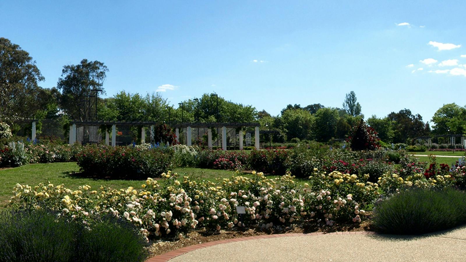 Broinowski Garden