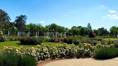 Broinowski Garden