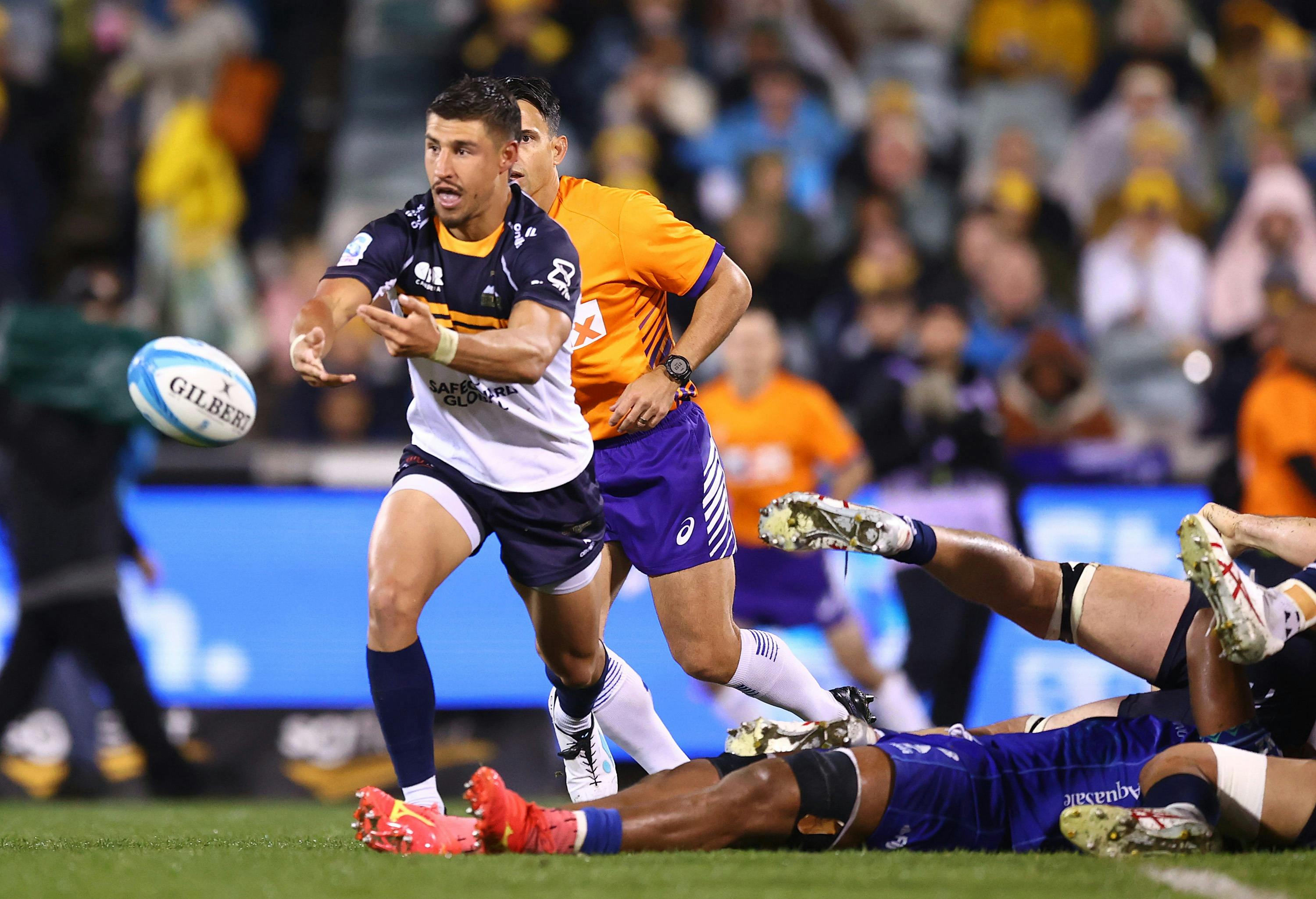 ACT Brumbies 2024 Harrison Goddard