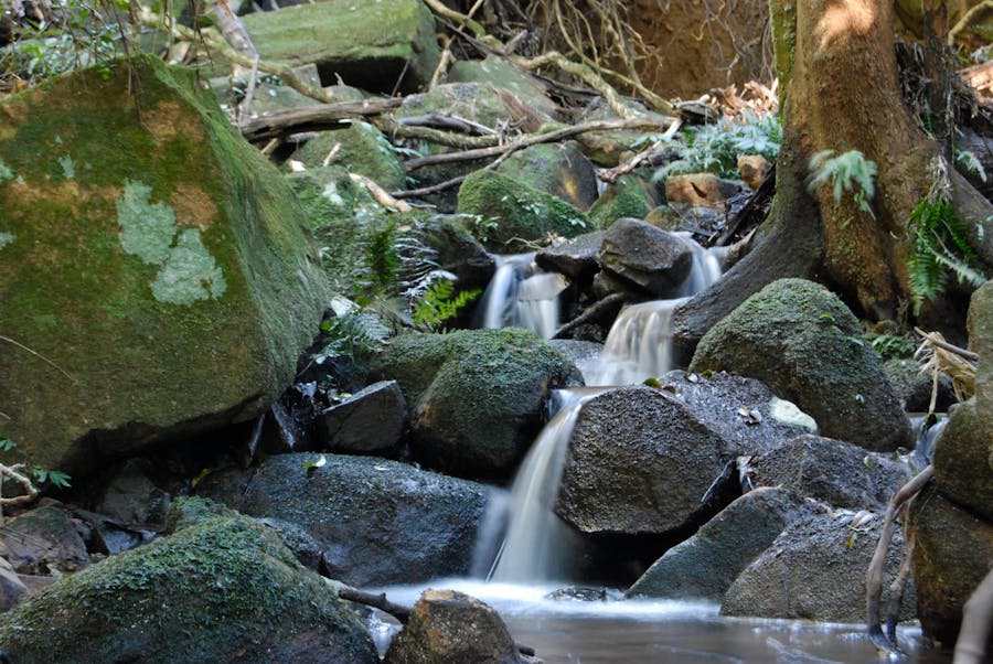 One of several flowing creeks on the property