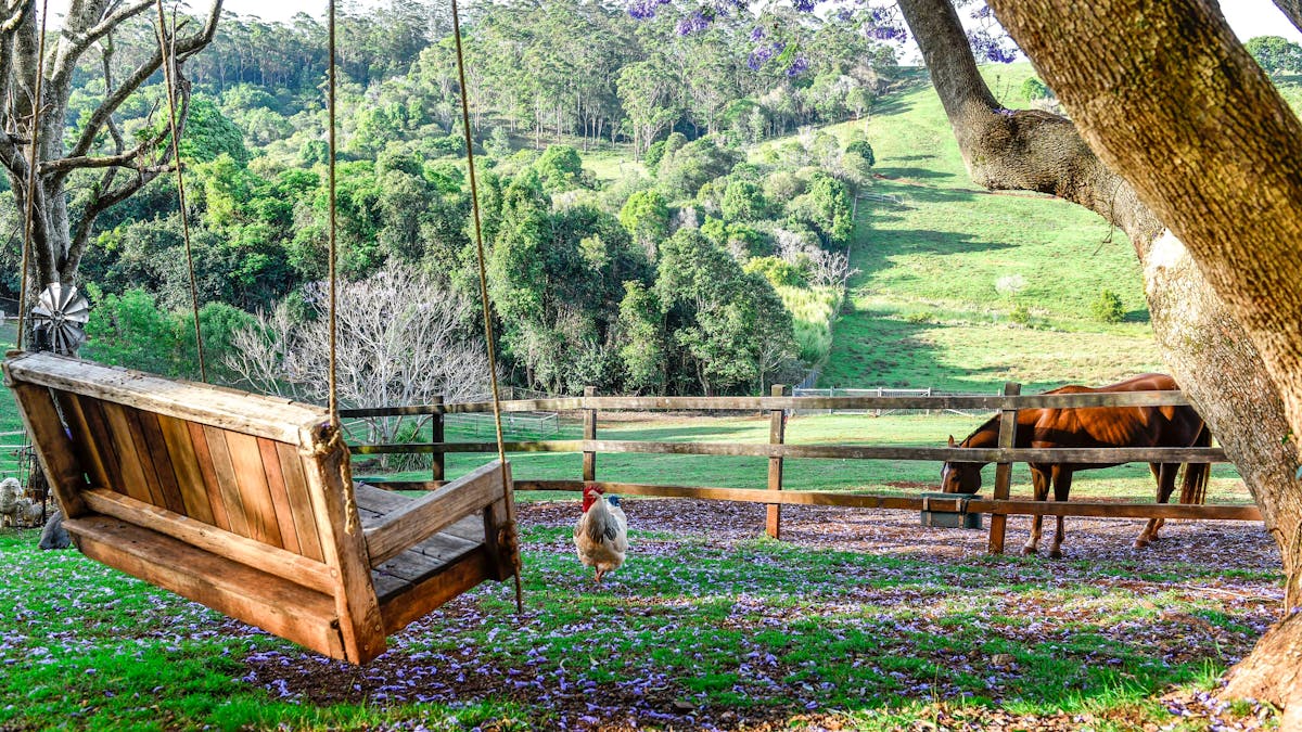 Relax on the swing and watch the horses
