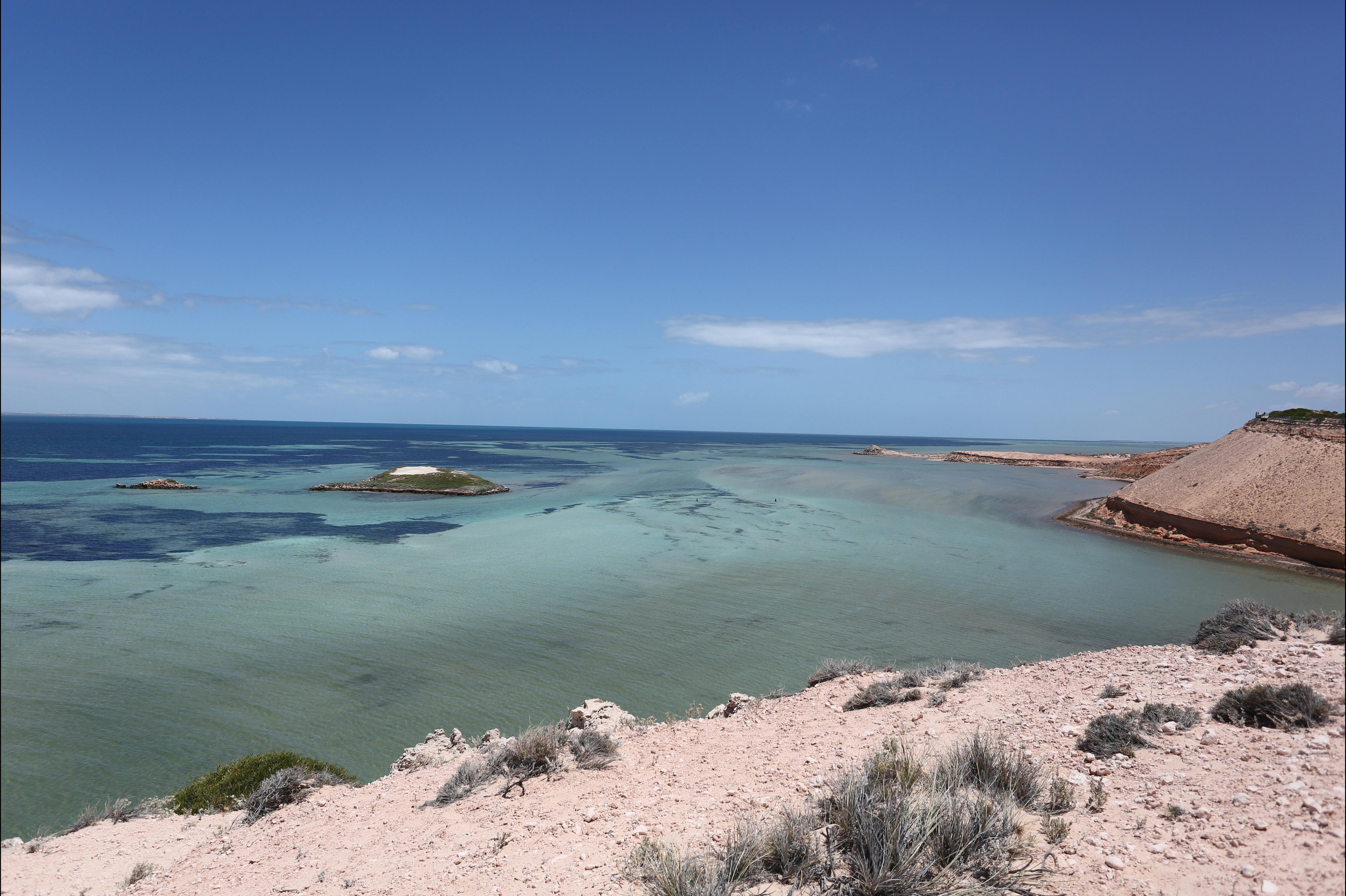 Shark Bay Coastal Tours, Denham, Western Australia