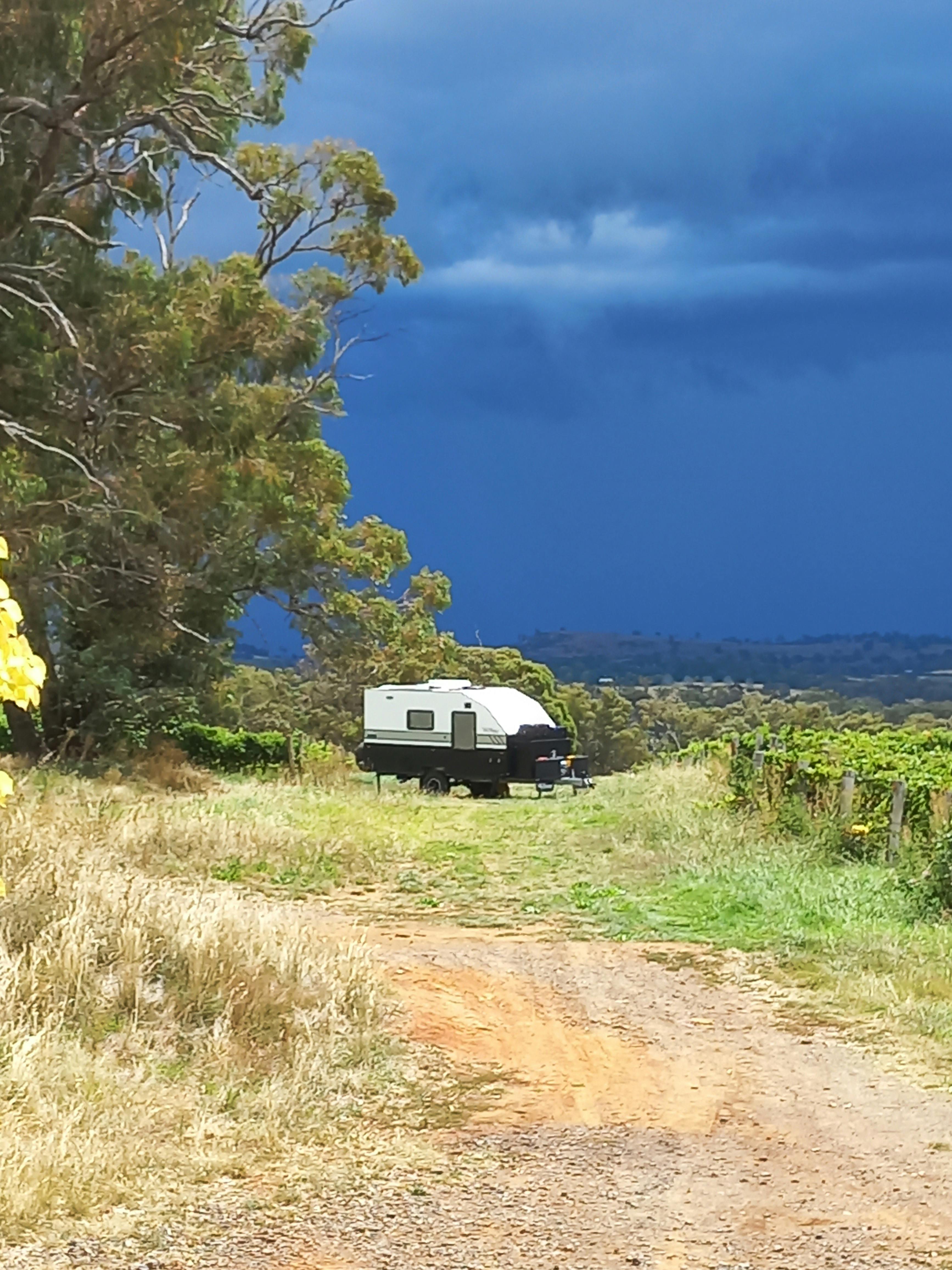 camping vineyard views pets family