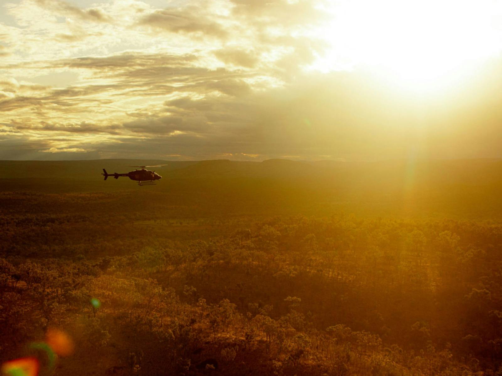 scenic helicopter flight