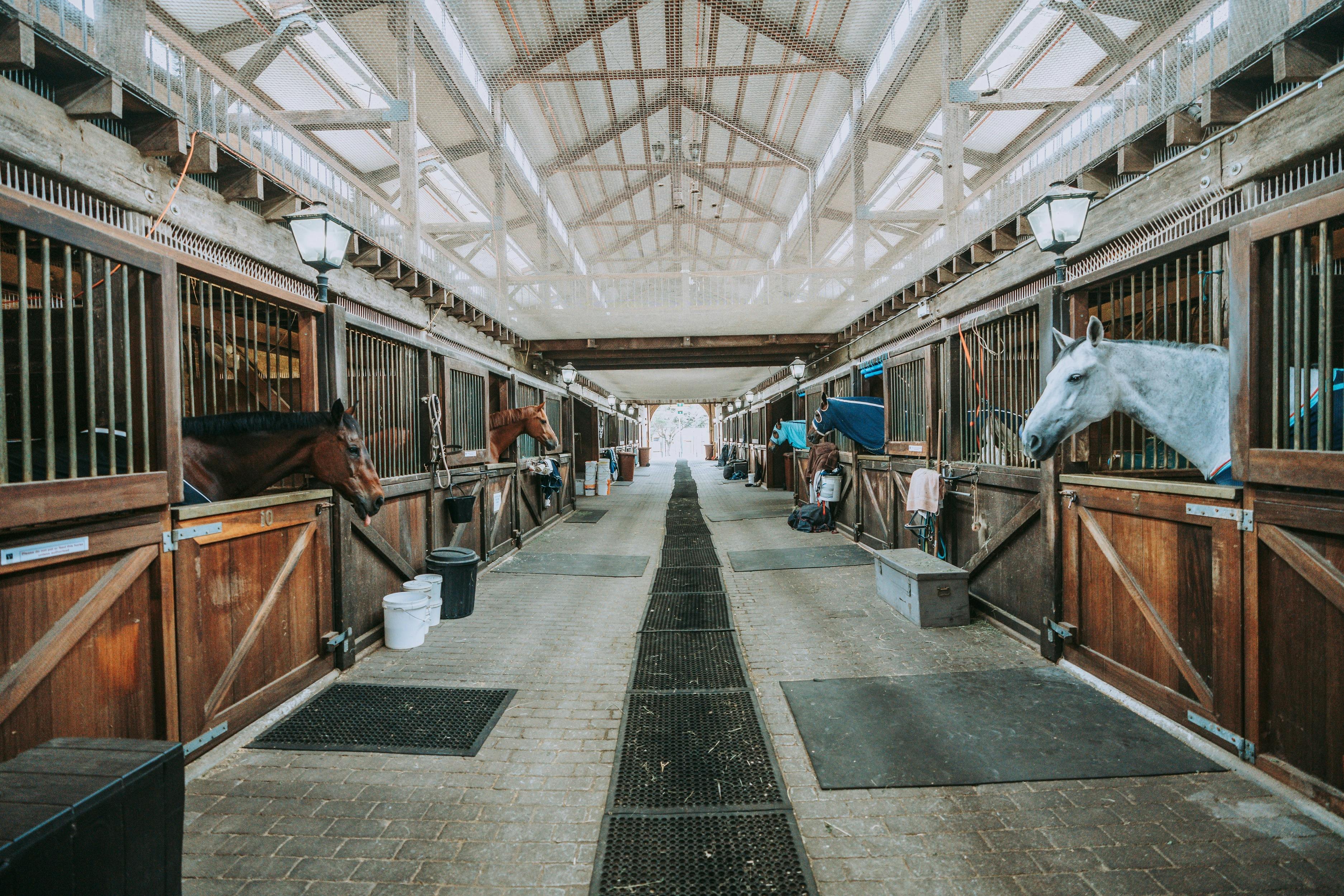 Centennial Parklands Reitzentrum