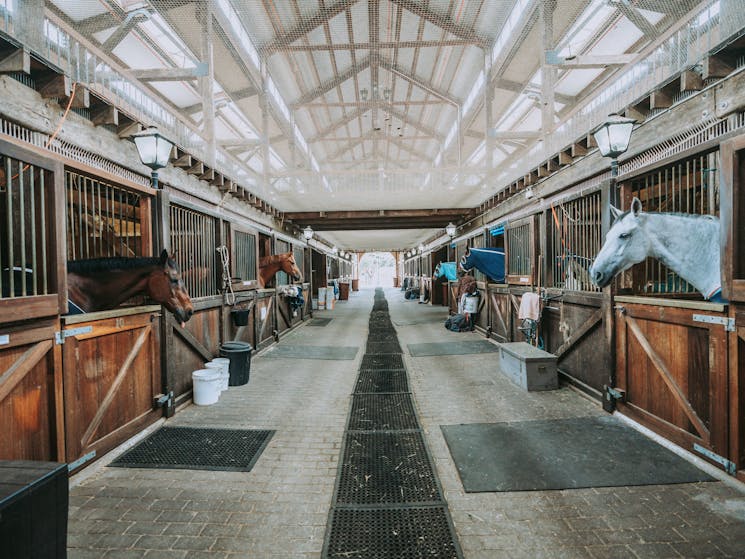 Centennial Parklands Equestrian Centre