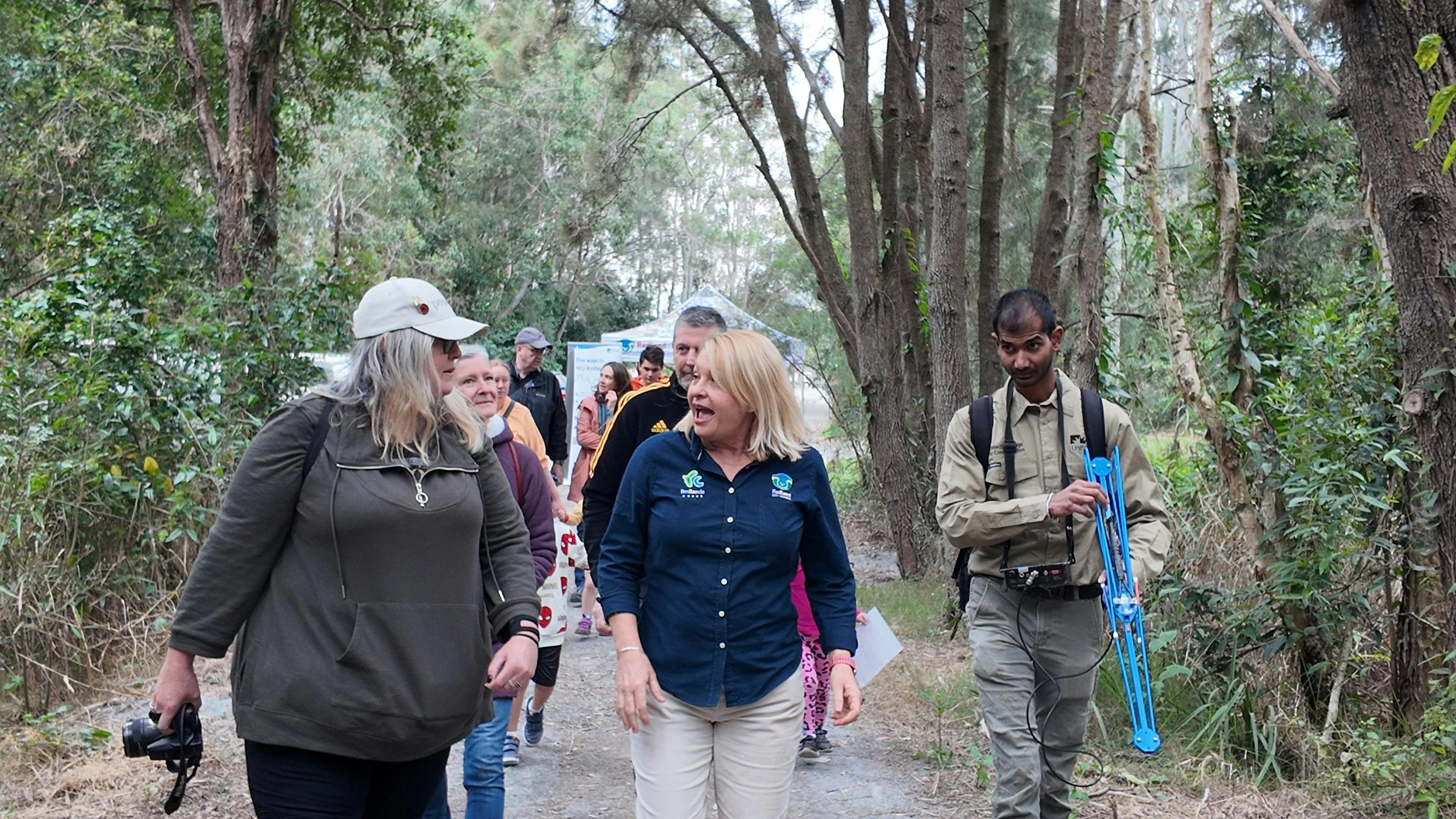 Discover koalas in the wild with Ranger Stacey and the Detection Dogs