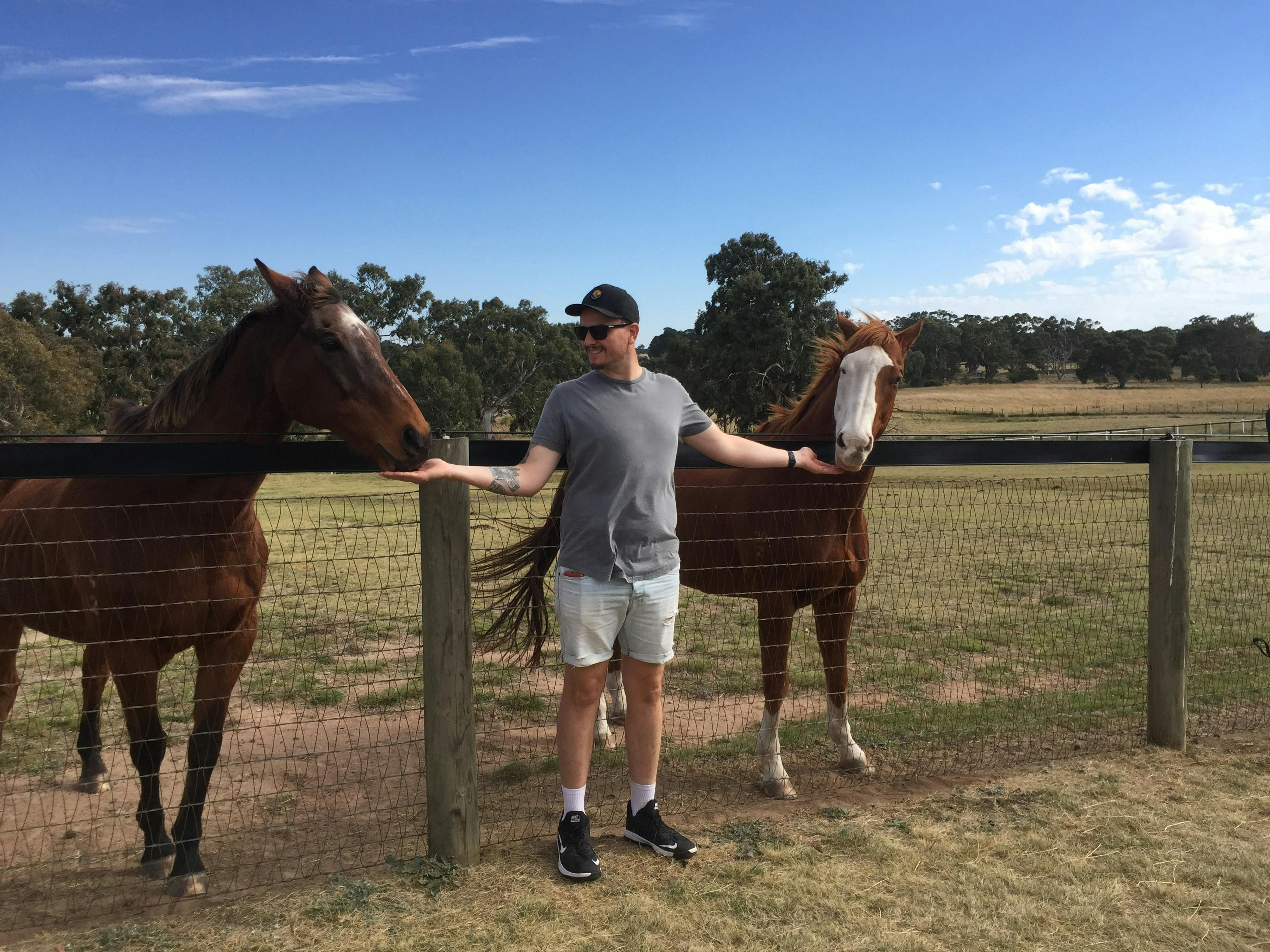 People patting and feeding racehorses