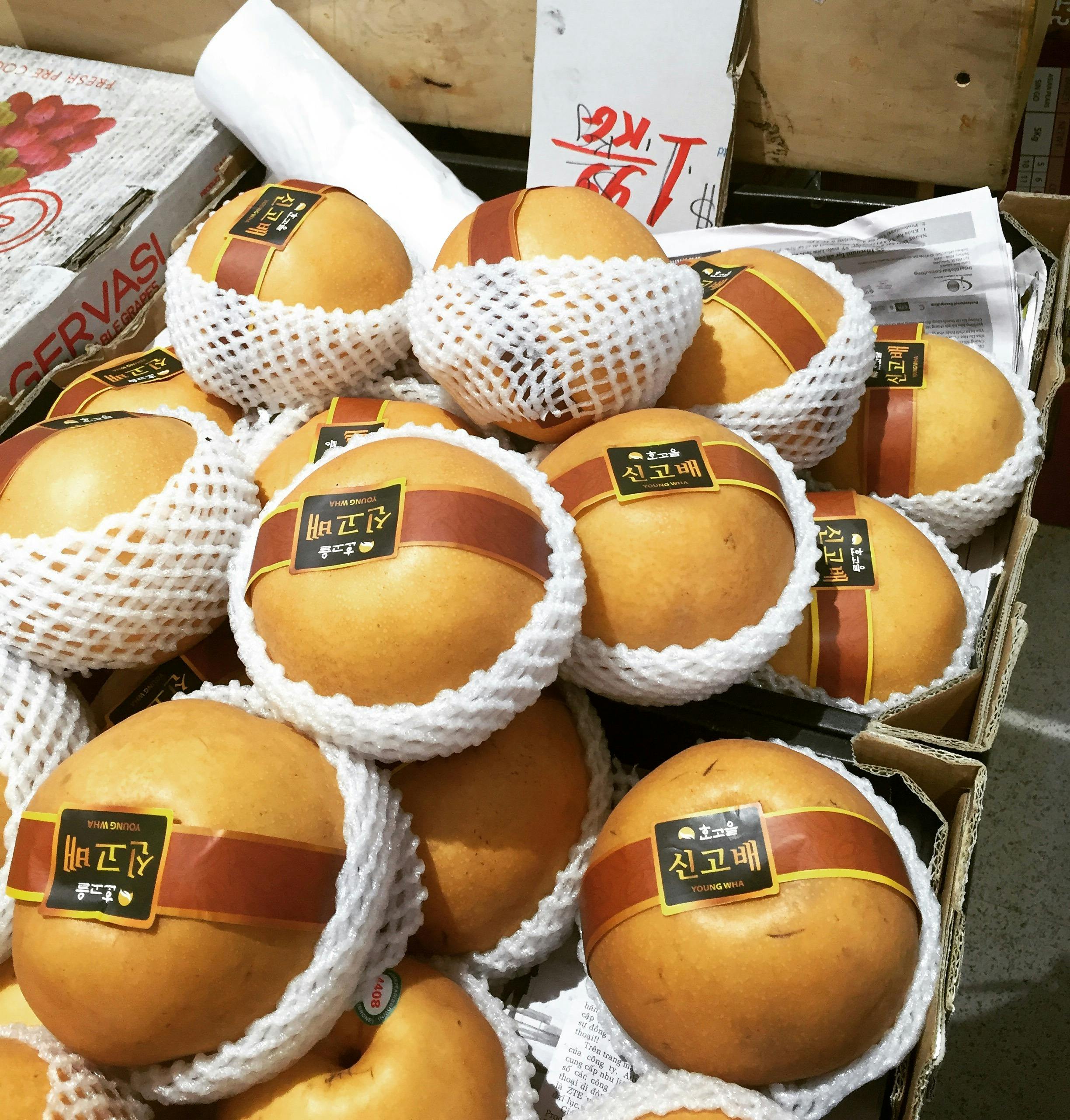 ミア クチーナ フード ツアーズ