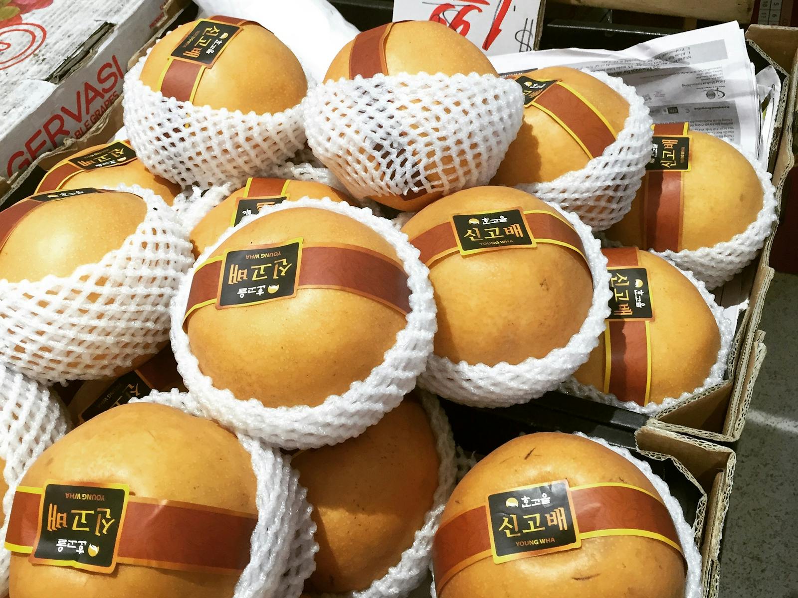 Mia Cucina Food Tours