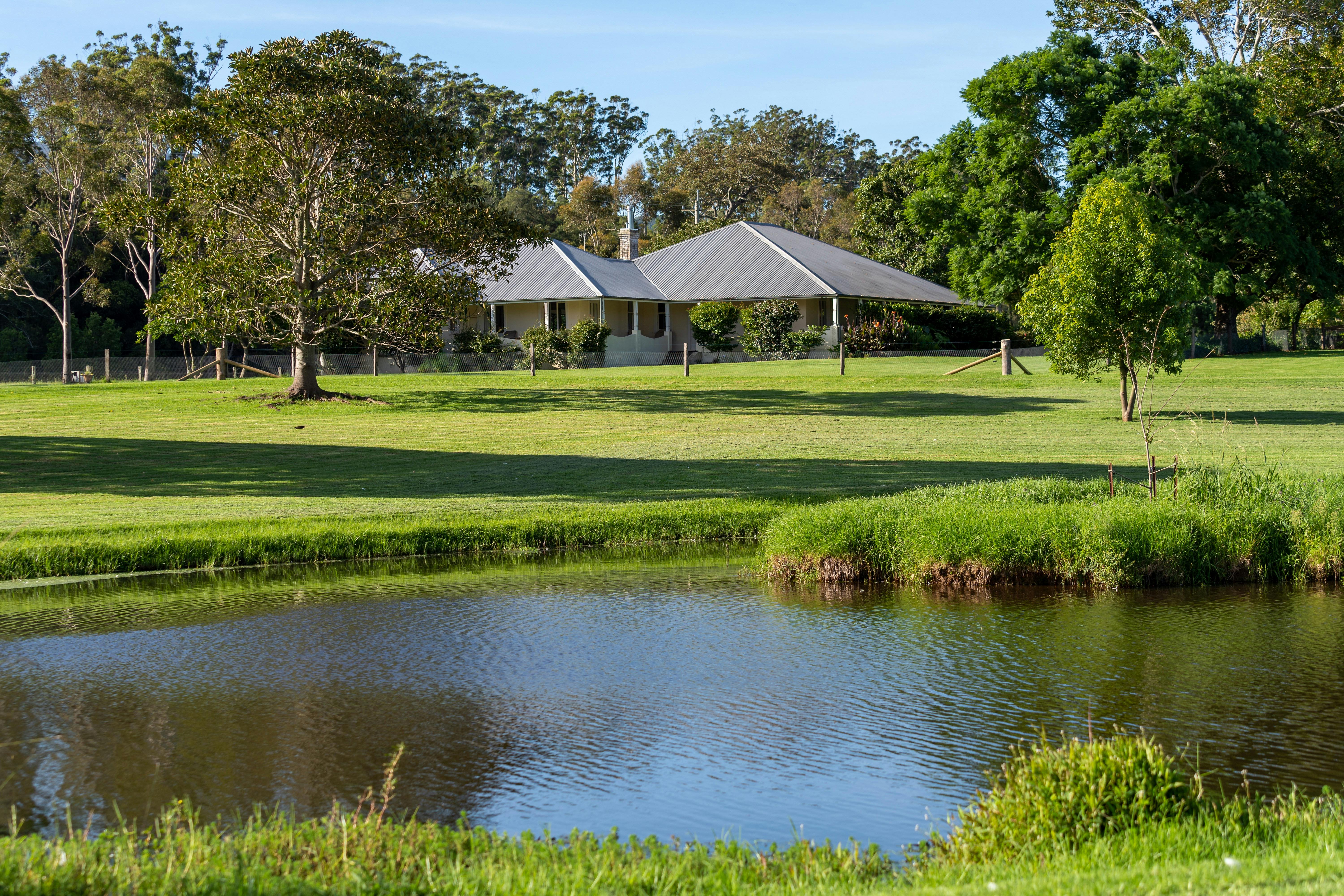 버드나무 농장 베리