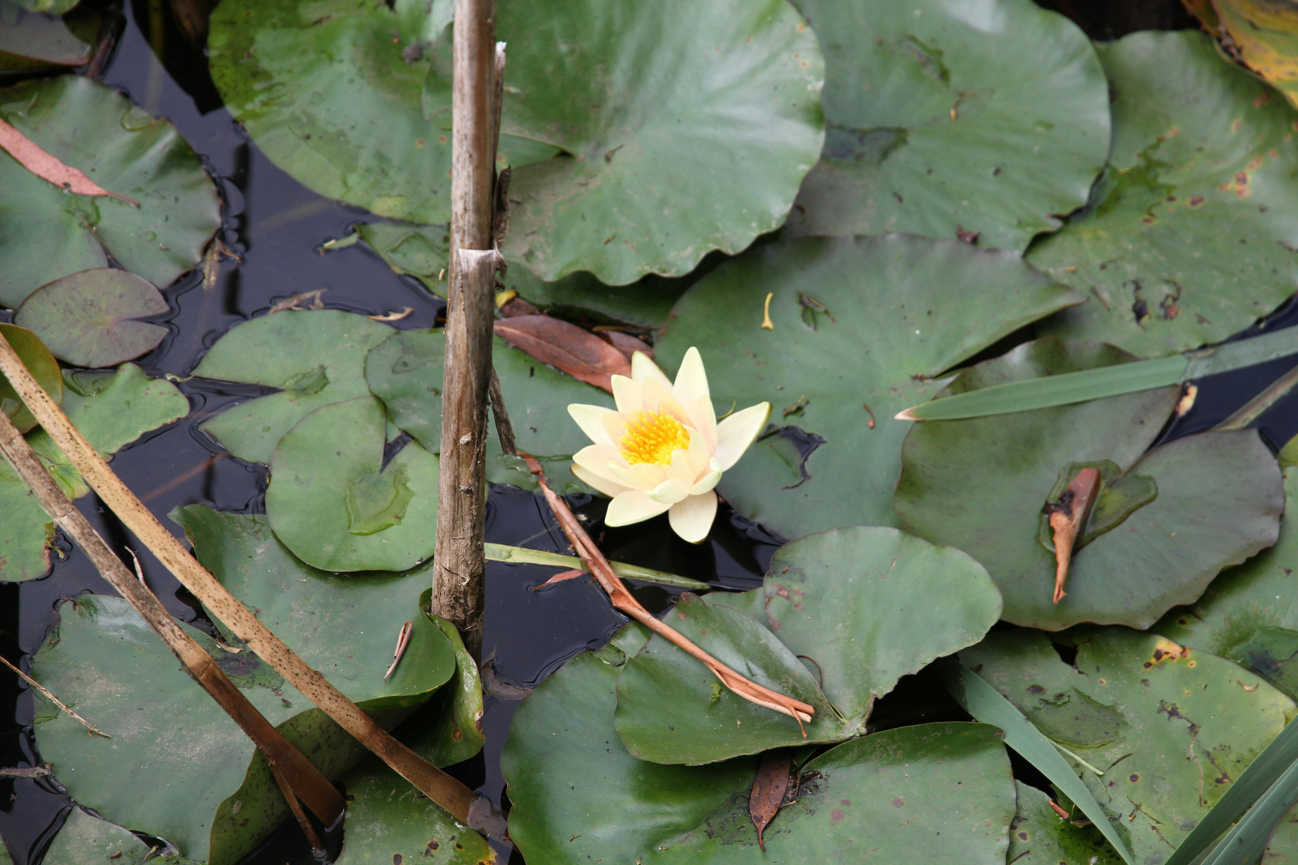 Clayton Drive Reserve, Spreyton