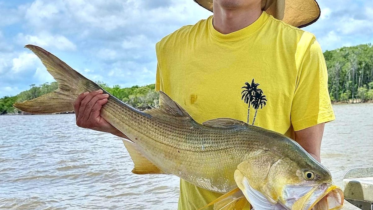 Man holding a large threadfin salmon caught with Gone Fishing Cairns.