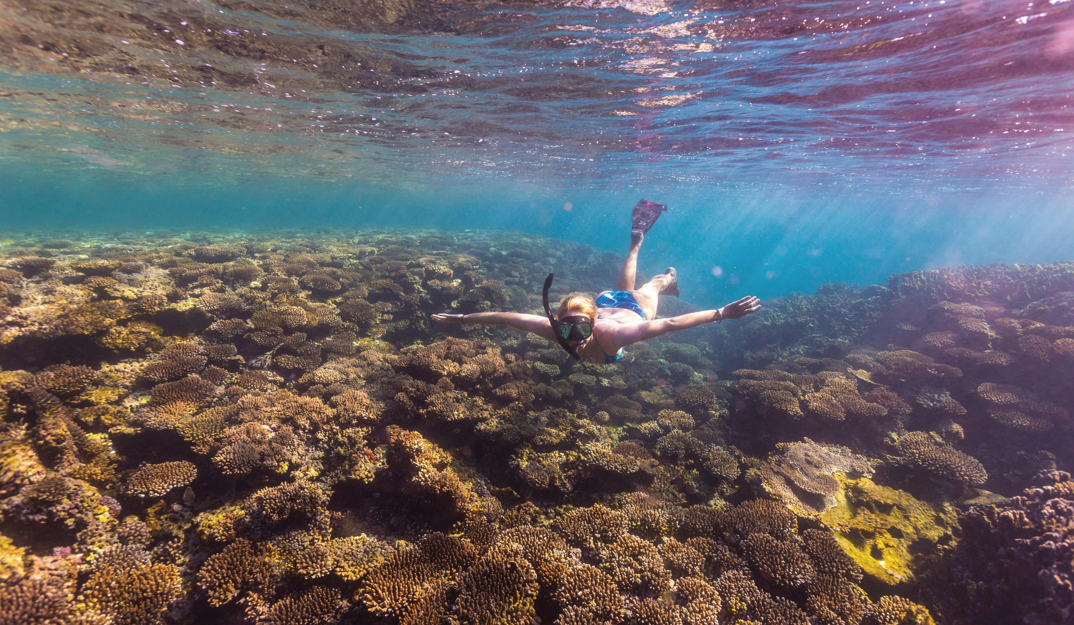 Coral Coast Wildlife, Coral Bay, Western Australia
