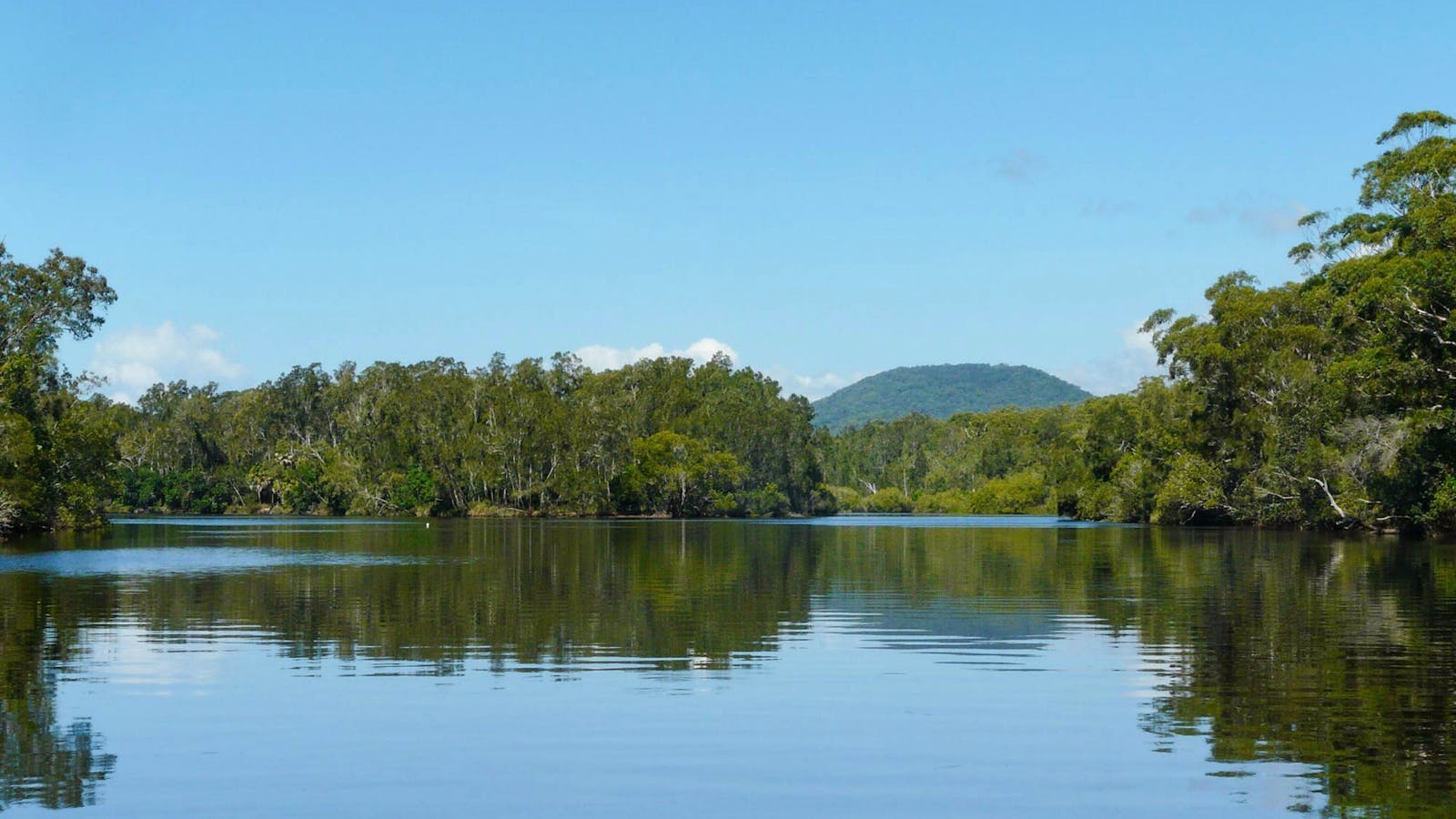 Warrell Creek