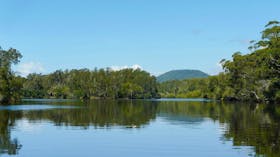 Warrell Creek