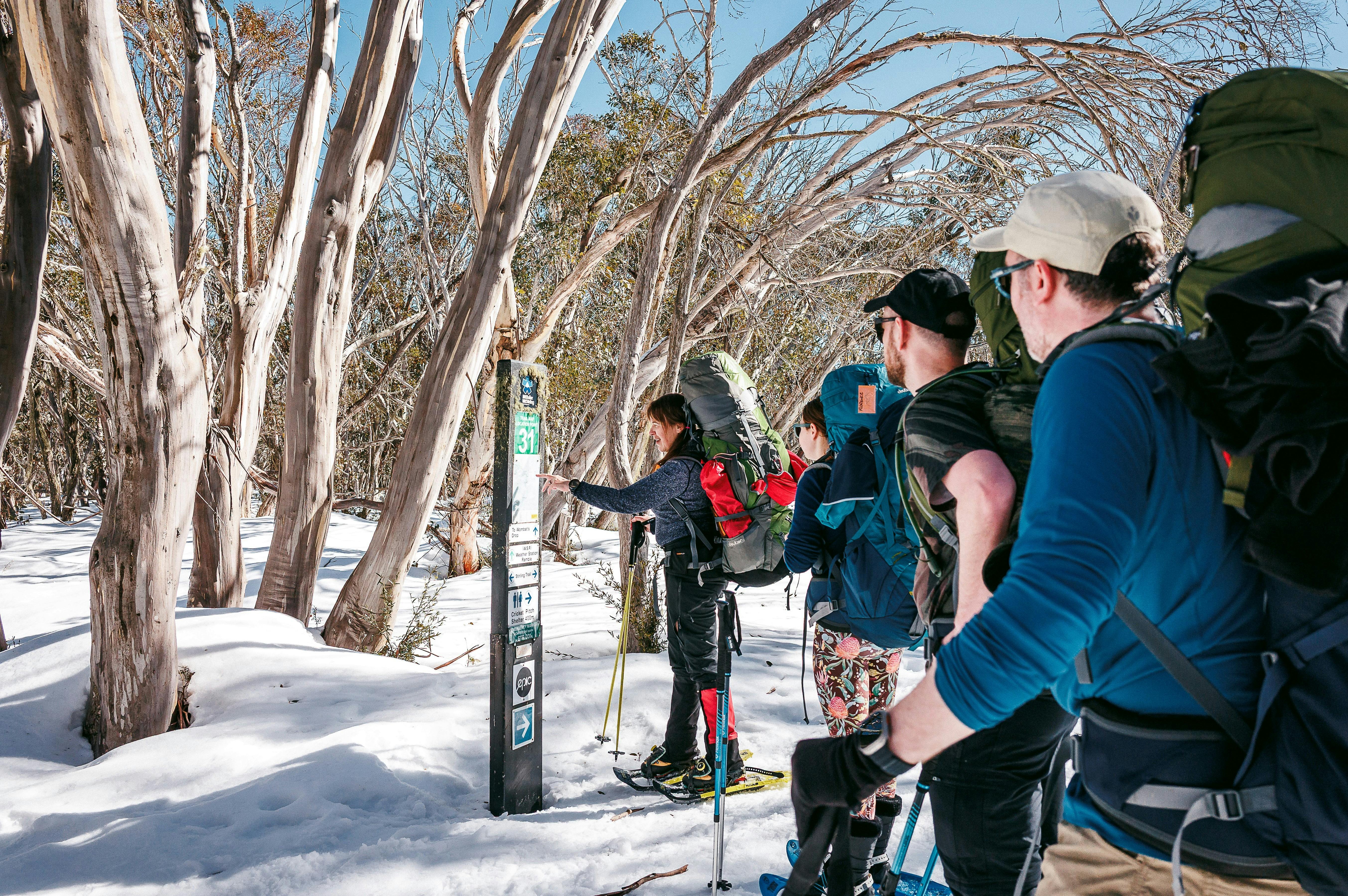 A group of hikers on snowshoes deciding which trail to take