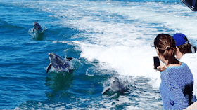 Rockingham Wild Encounters, Rockingham Beach, Western Australia