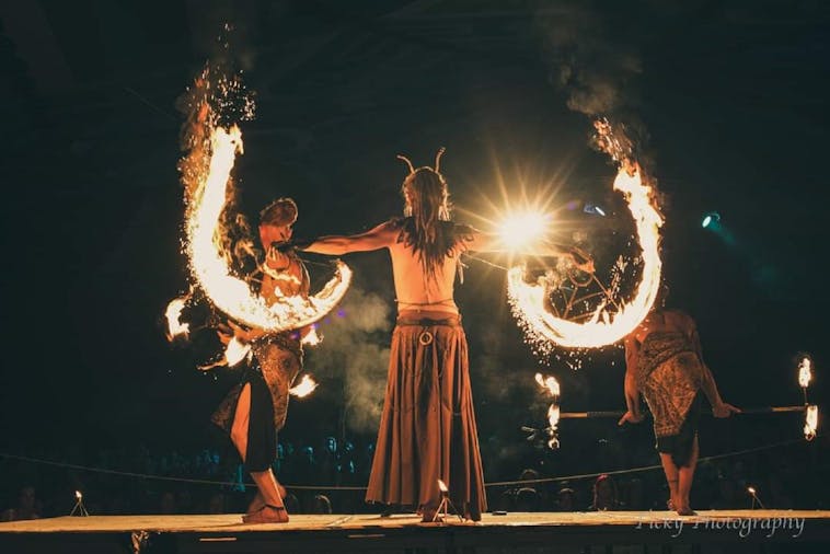 Flaming Fiesta Wallaroo