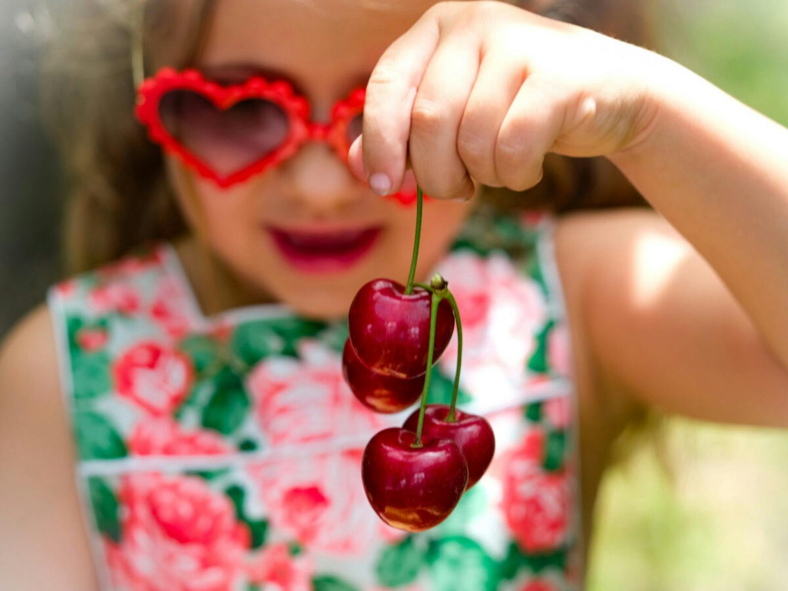 @Birdwood Pick Your Own Cherries