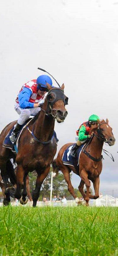 Christmas Cup Horse Race Goulburn
