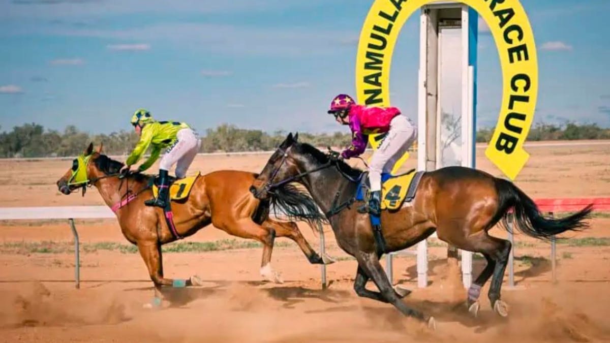 Horse Races