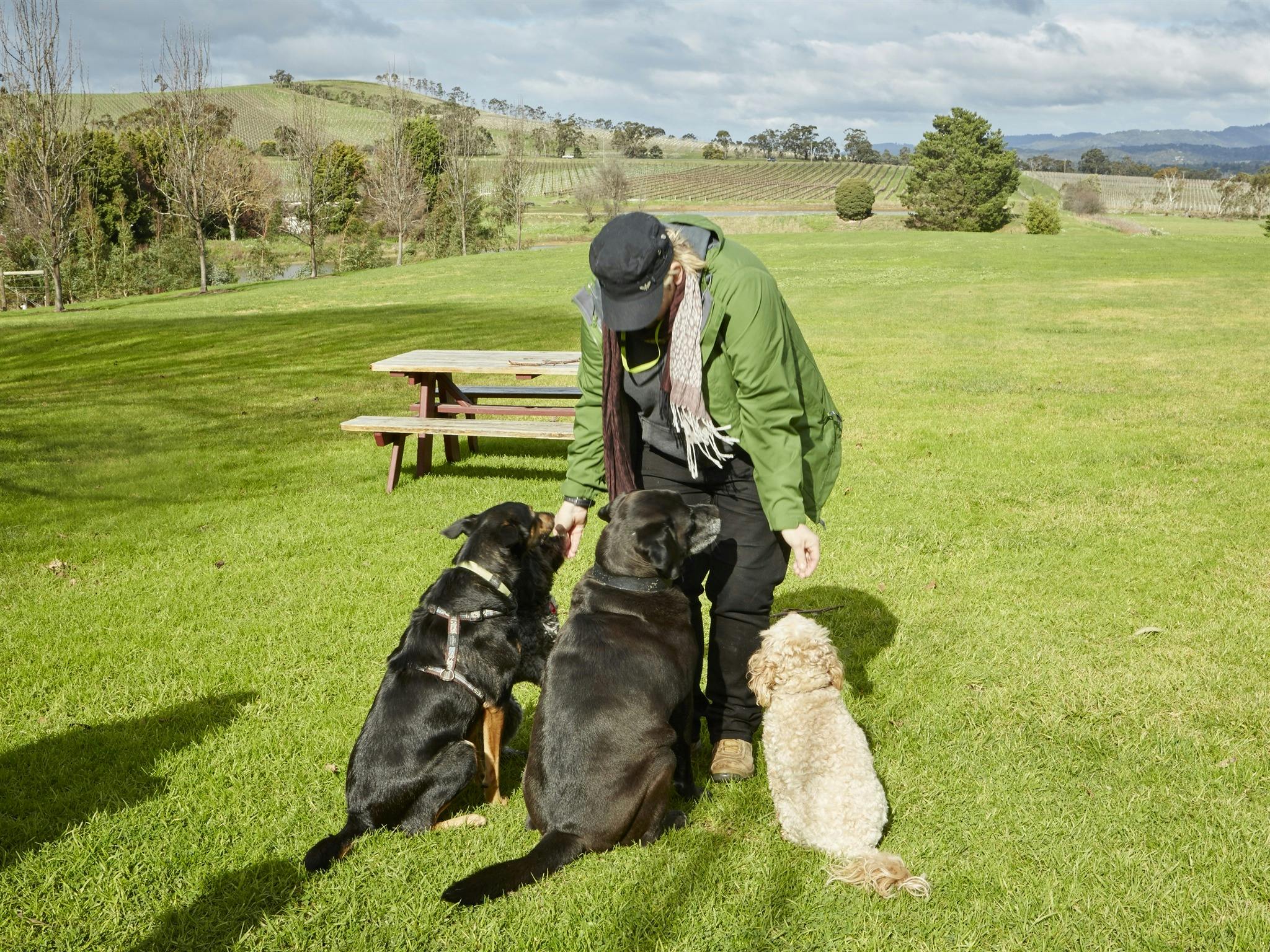 Gourmet Pawprints - Dog Friendly Tours
