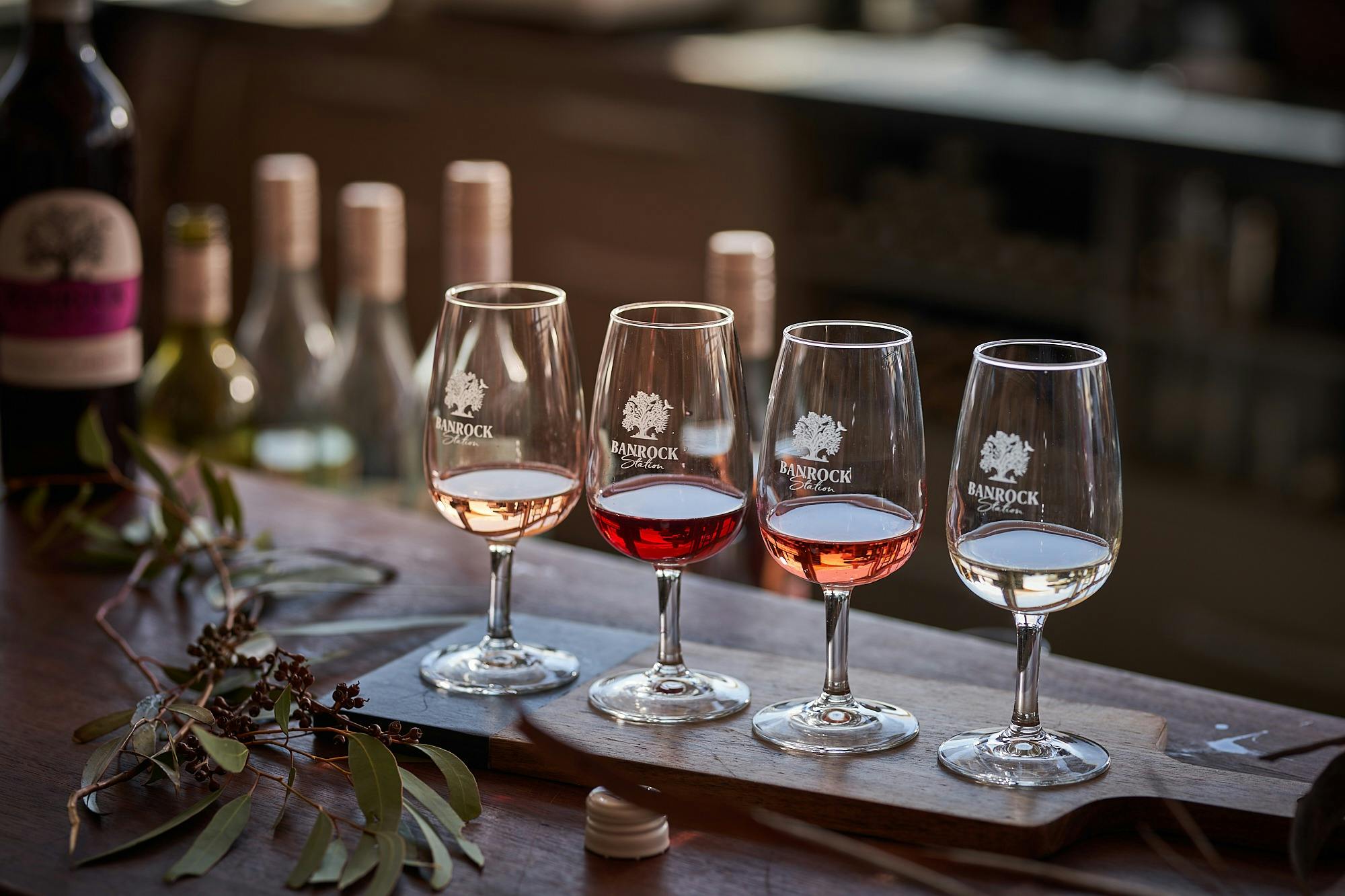 Banrock Station wine tasting