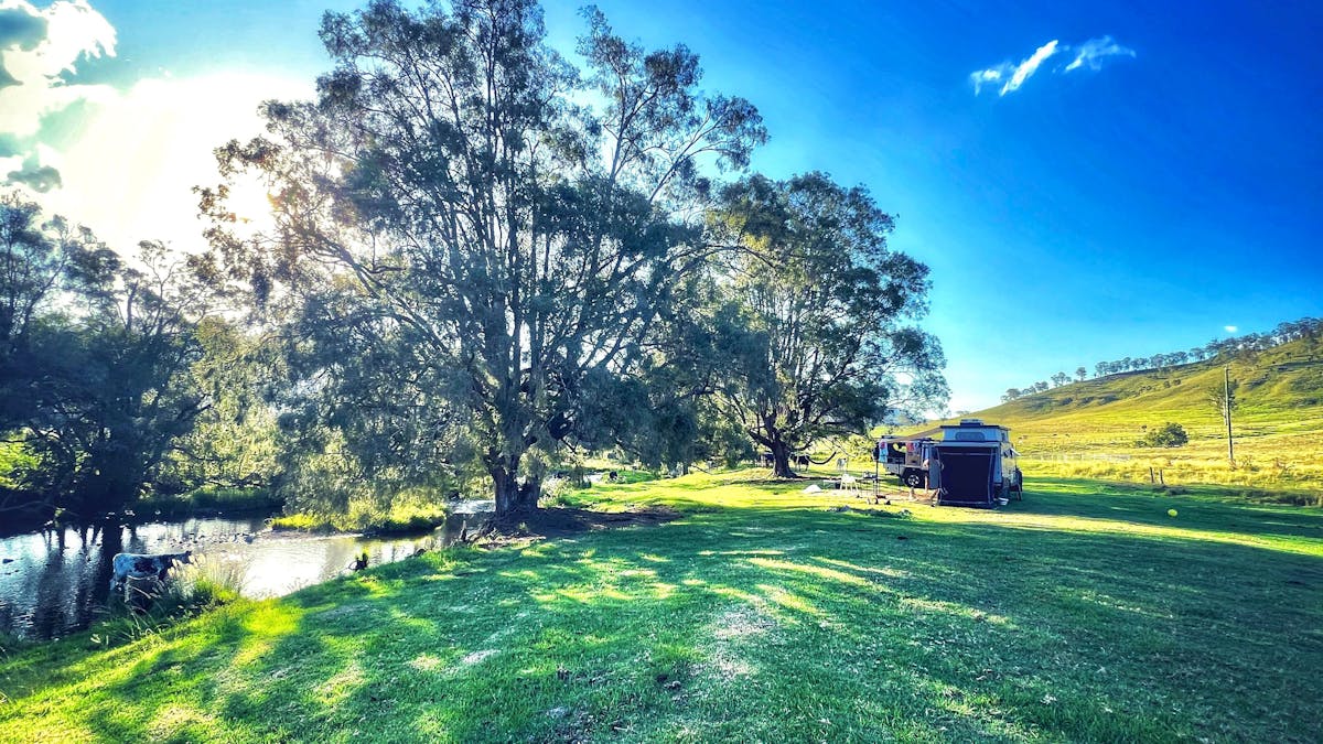 Quite often you'll be sharing the shade or river with our cattle