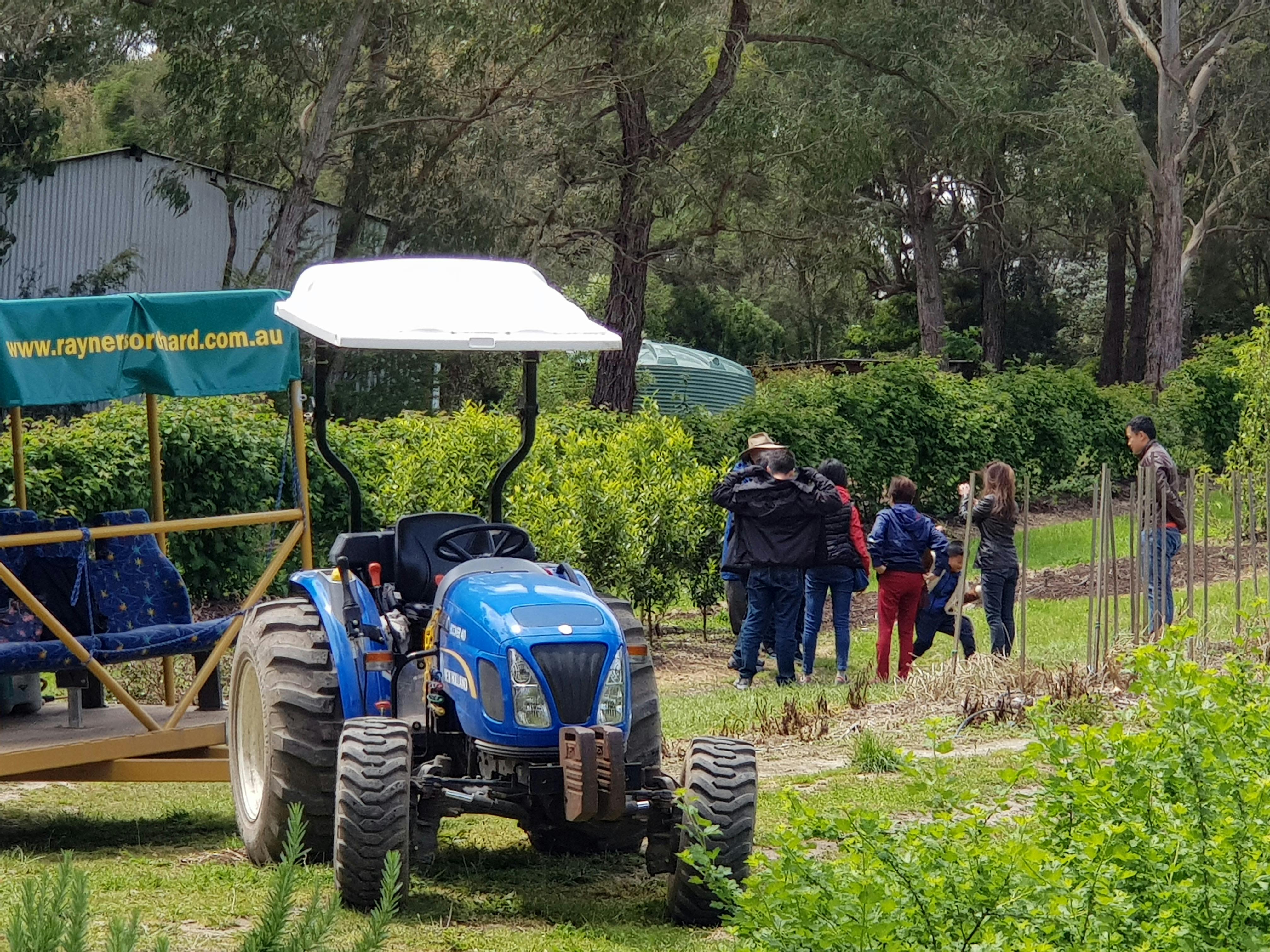 Rayners Orchard