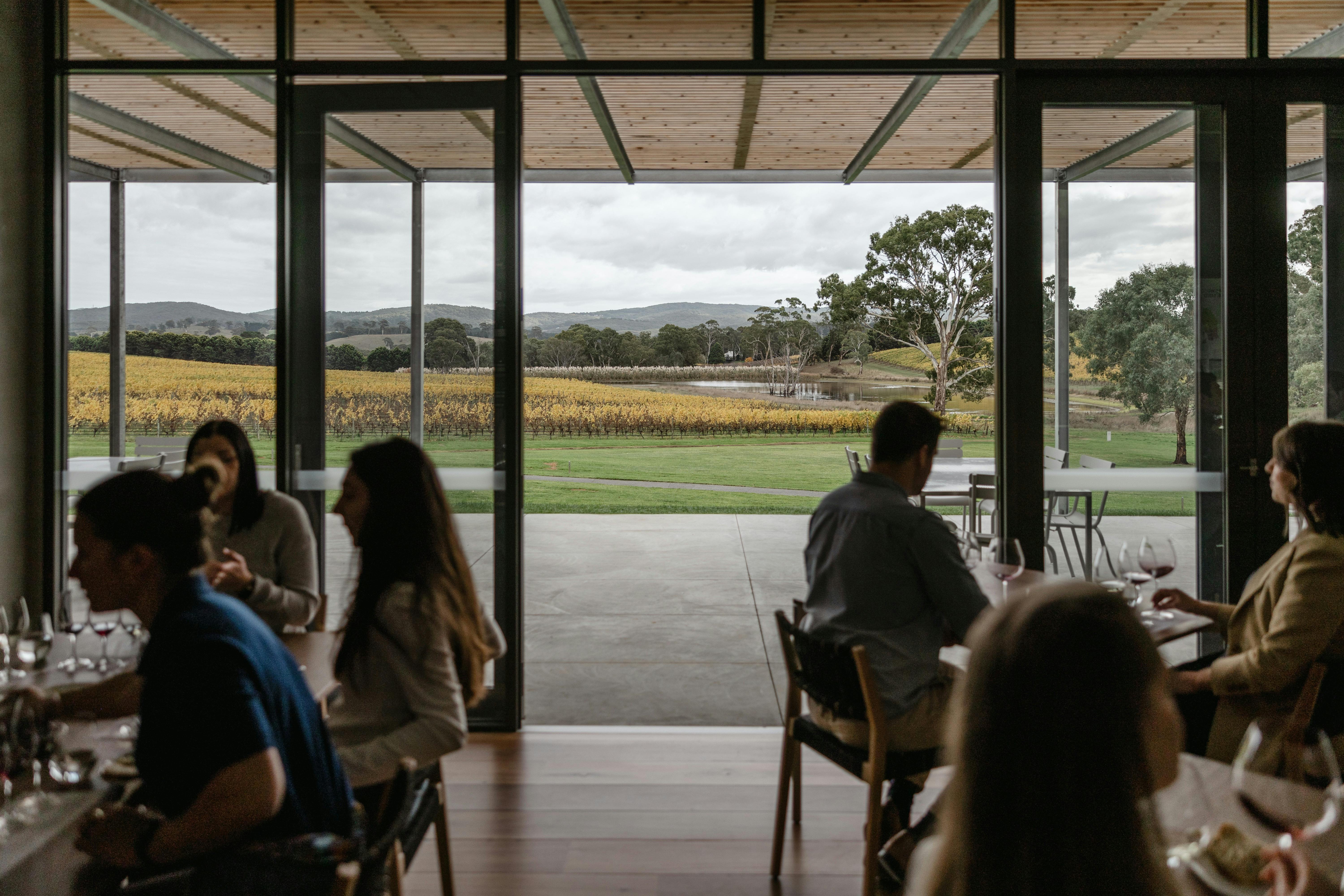 Tasting Room visitors looking out over the vineyard.