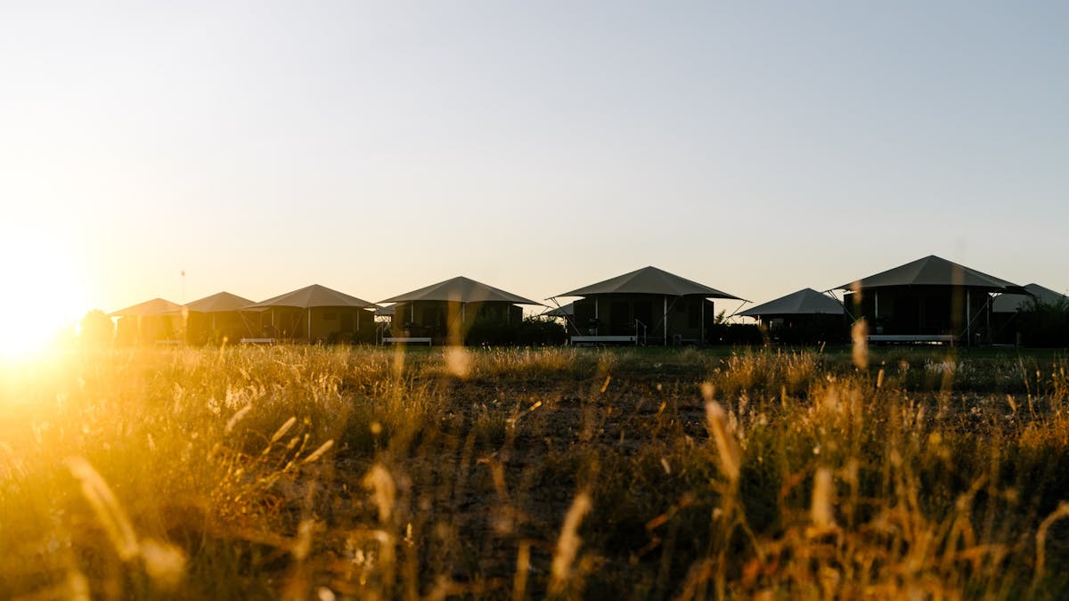 Mitchell Grass Retreat sunrise
