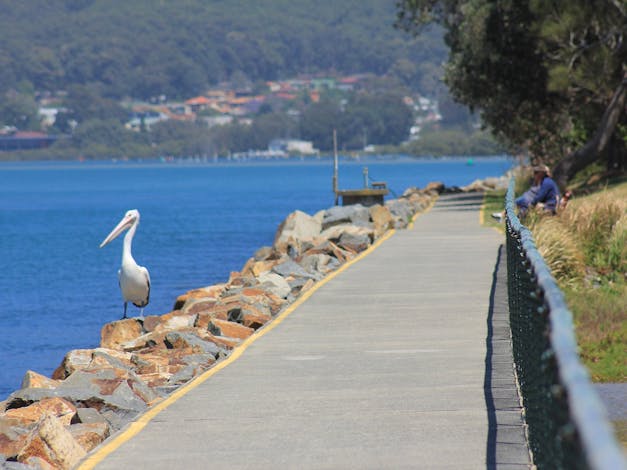 Laurieton