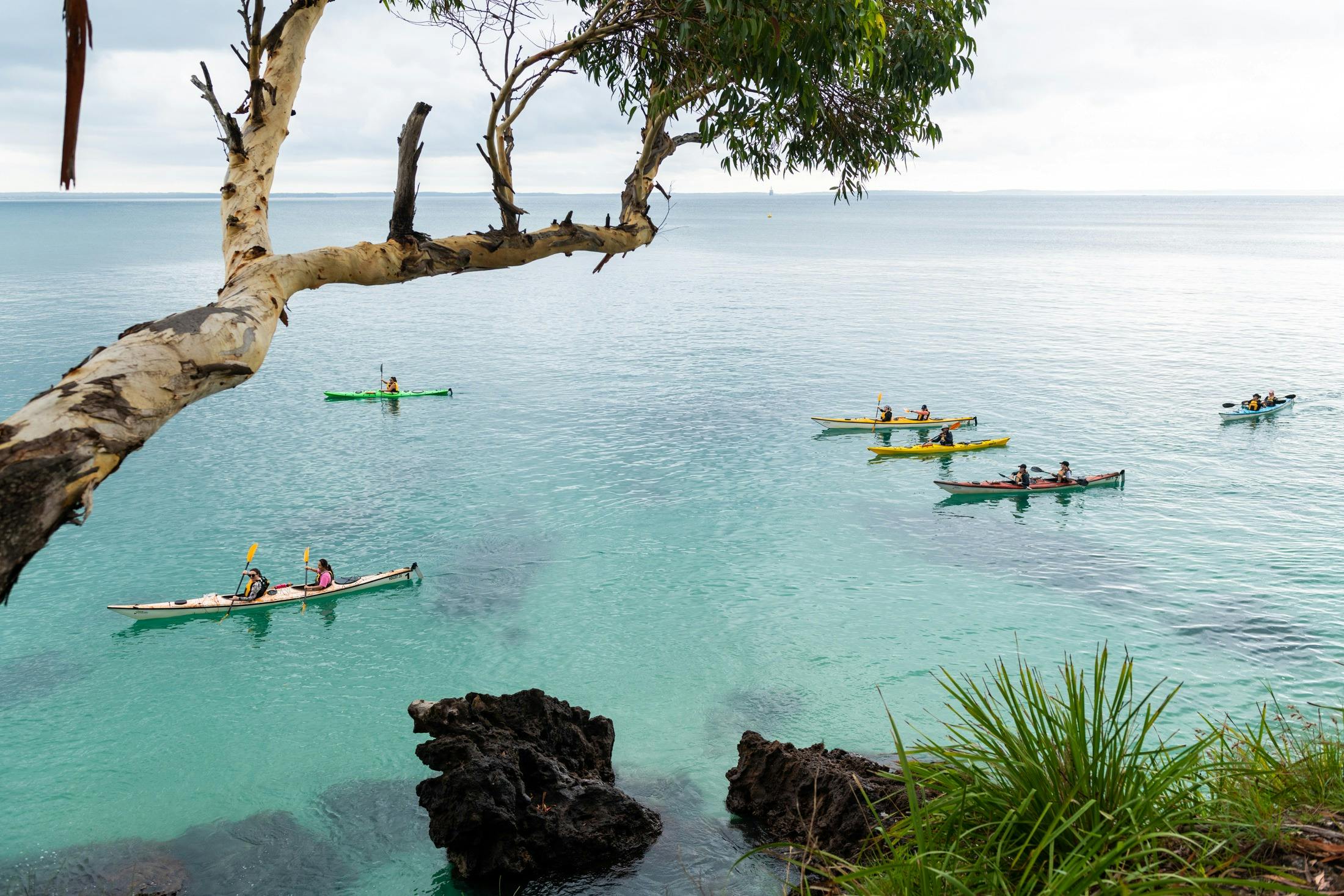 Sea Kayaking Lifestyle Retreats